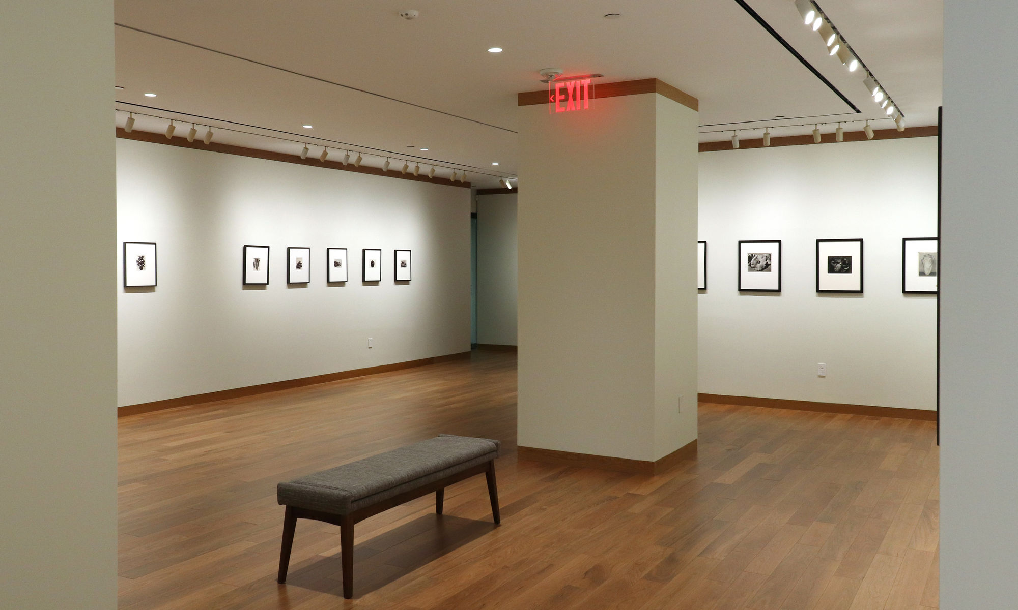 A Response to Wonder