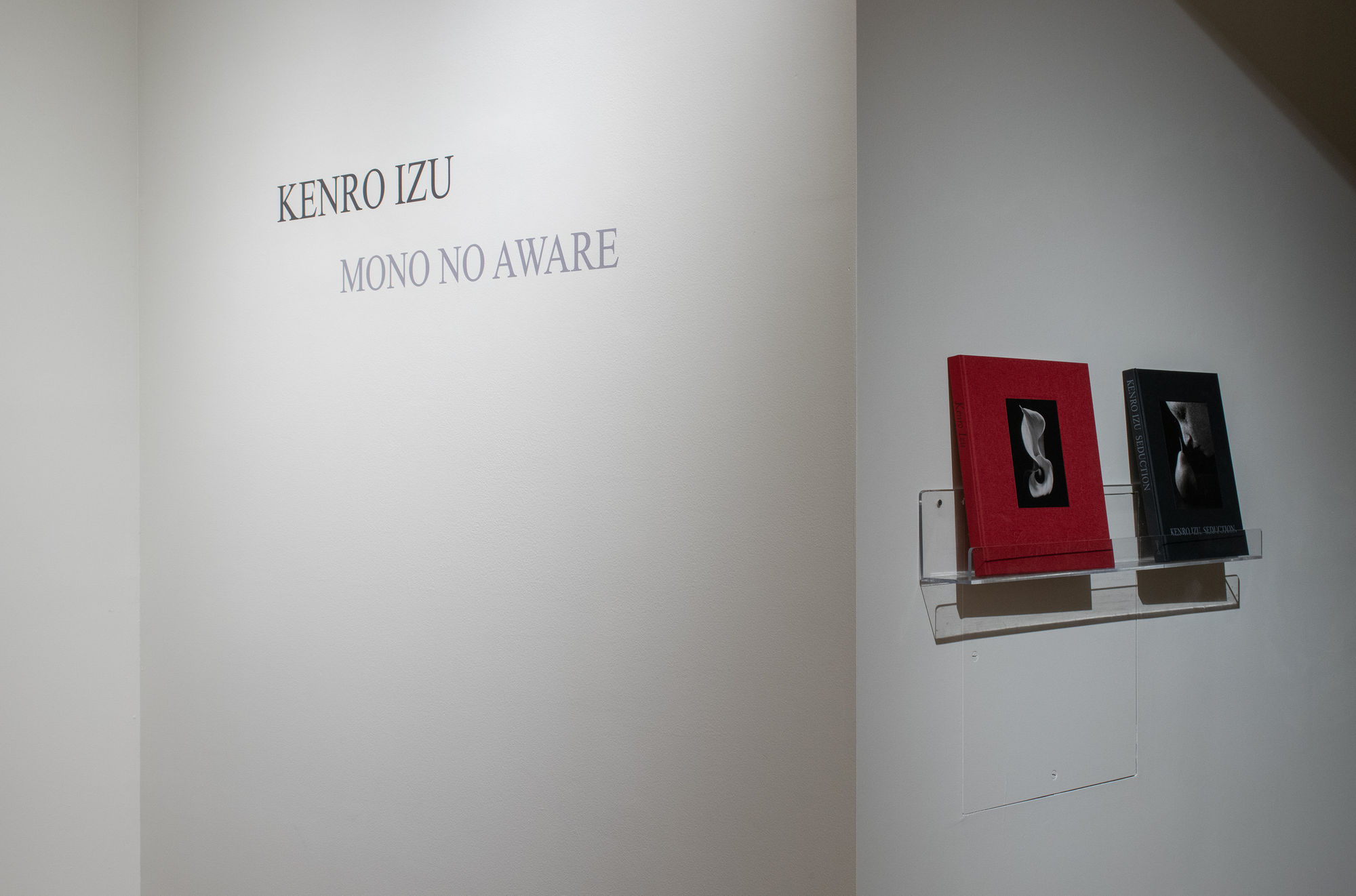 Kenro Izu