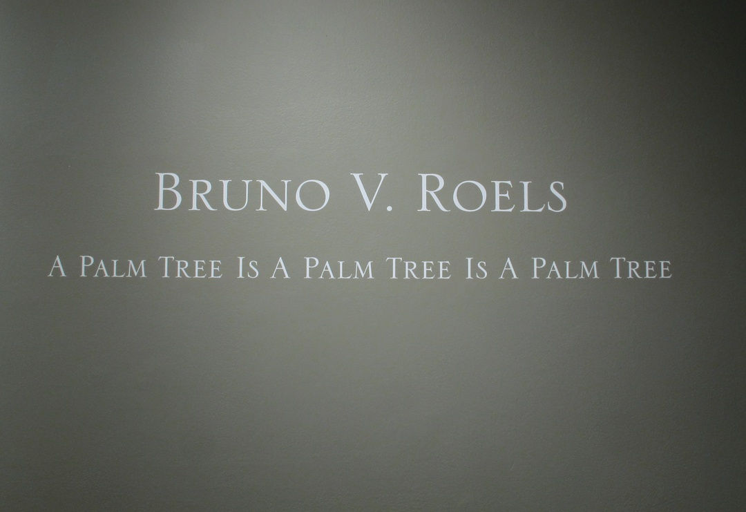 Bruno V. Roels