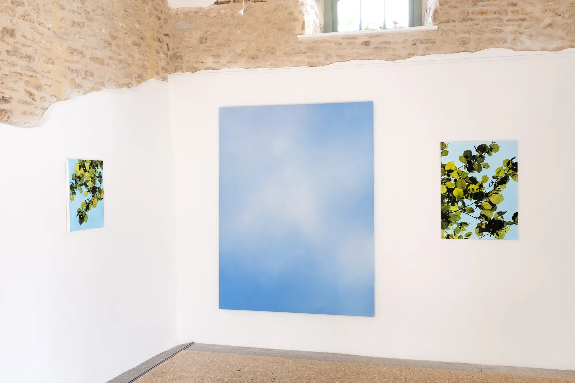 Hope is The Thing With Colours