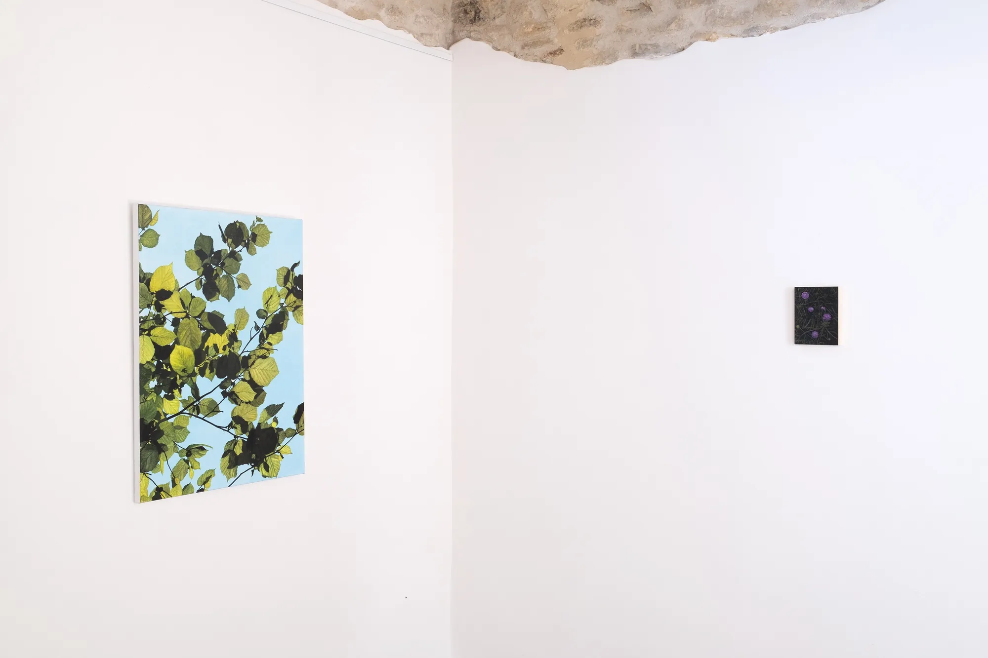 Hope is The Thing With Colours