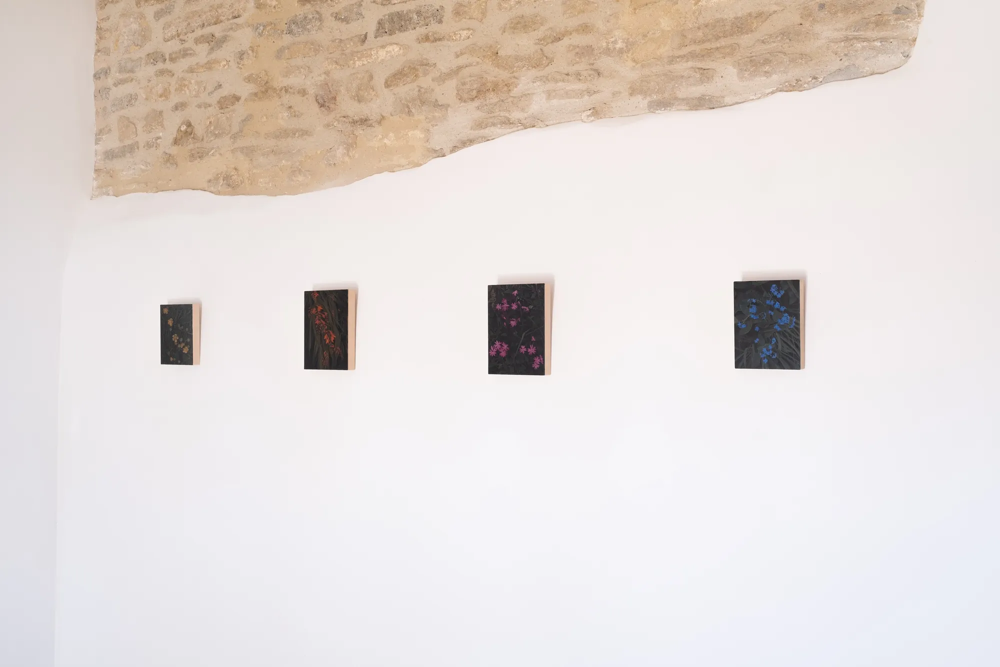 Hope is The Thing With Colours