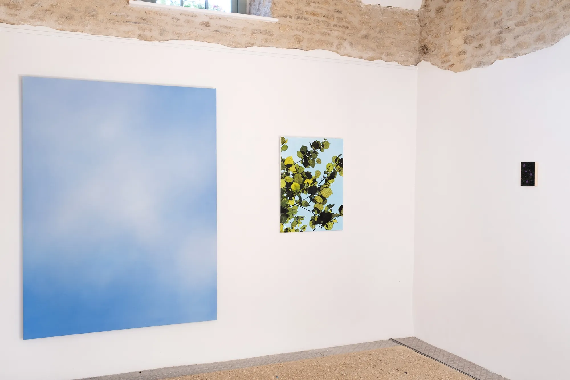 Hope is The Thing With Colours