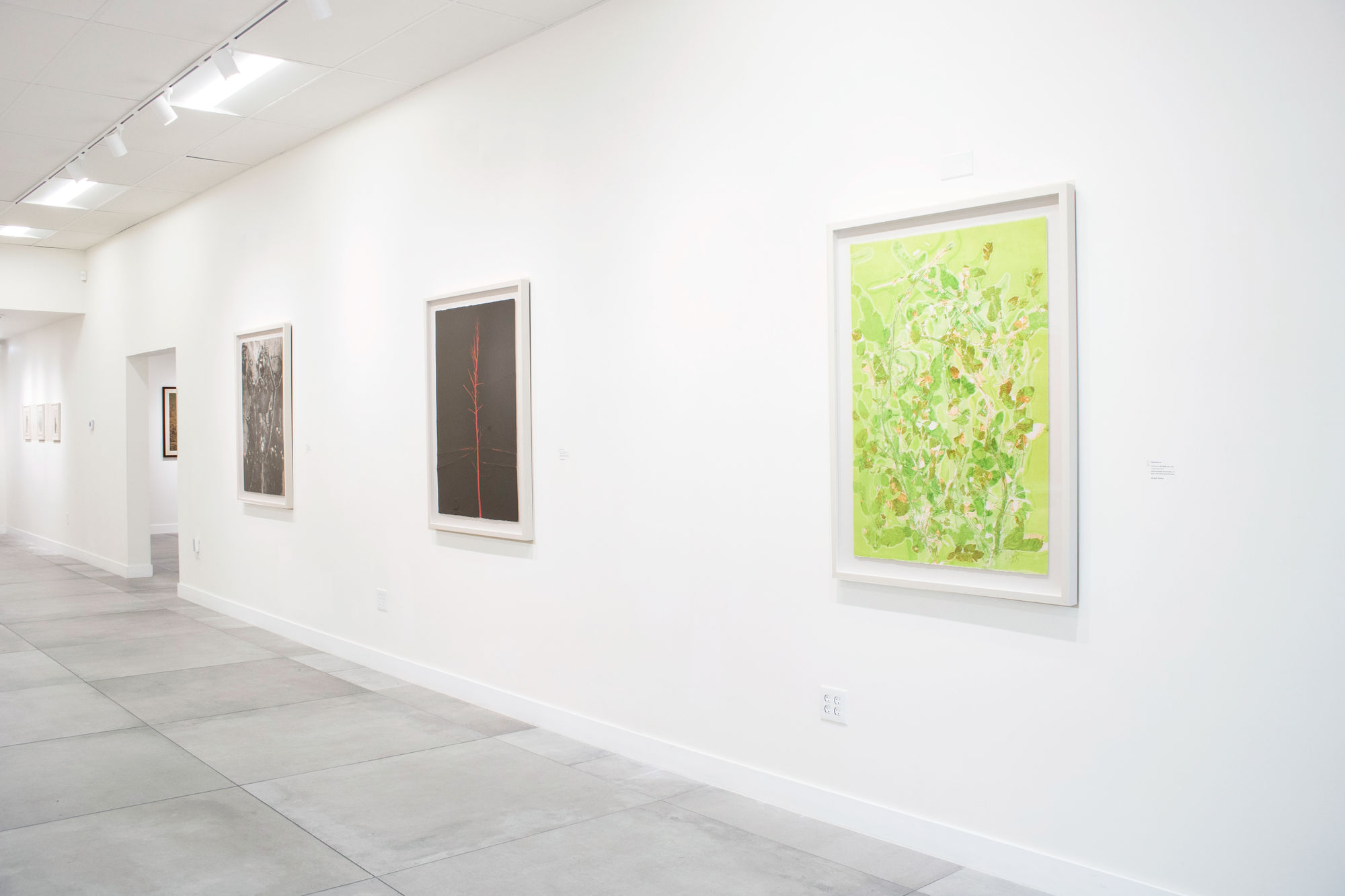 Garden of Hundreds of Plants (百草园)