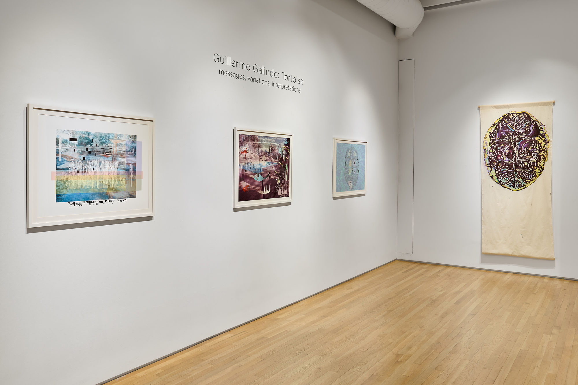 Guillermo Galindo: Tortoise