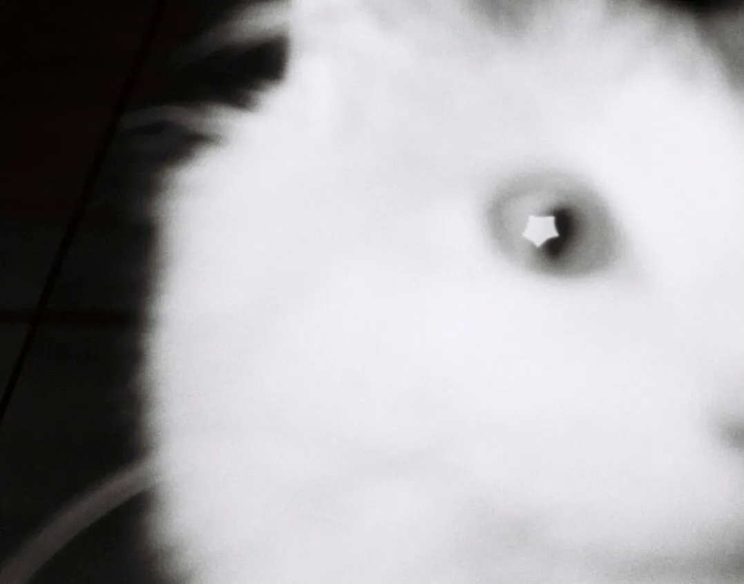 Dr. Zachary Y. Wang: Near · Faraway