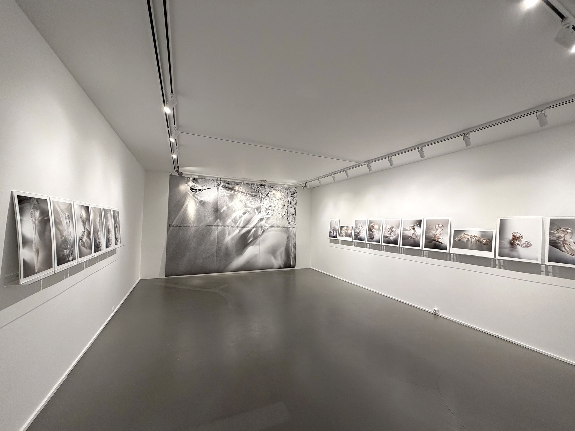 Bir Düşün İçinde