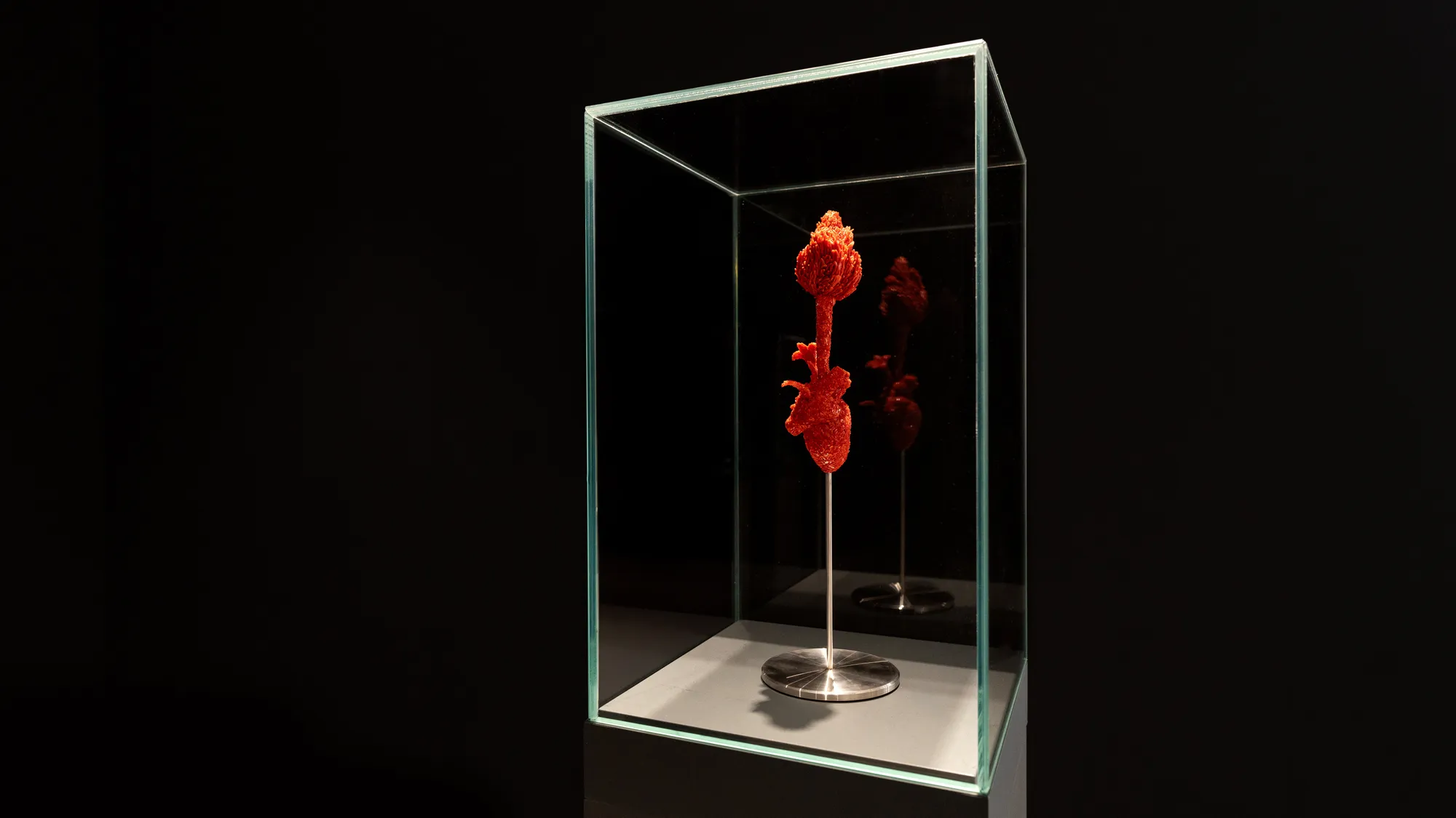 Allegory of Caritas (An Act of Love) - Installation View