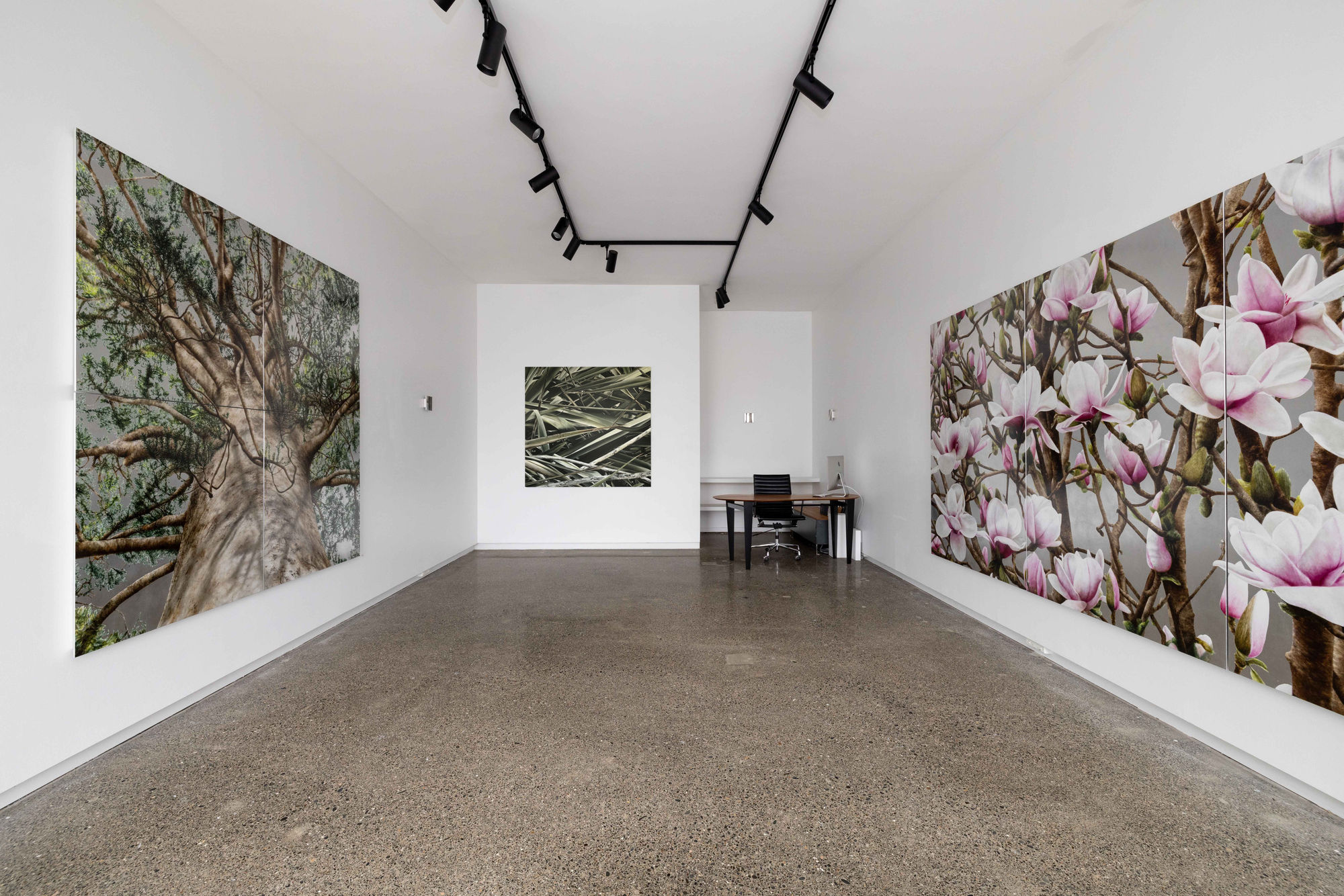 Neal Palmer - Under the Surface