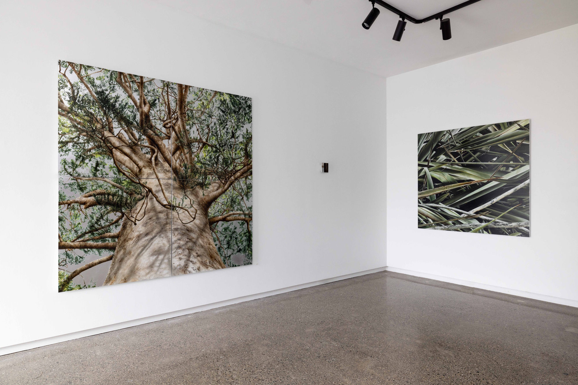 Neal Palmer - Under the Surface