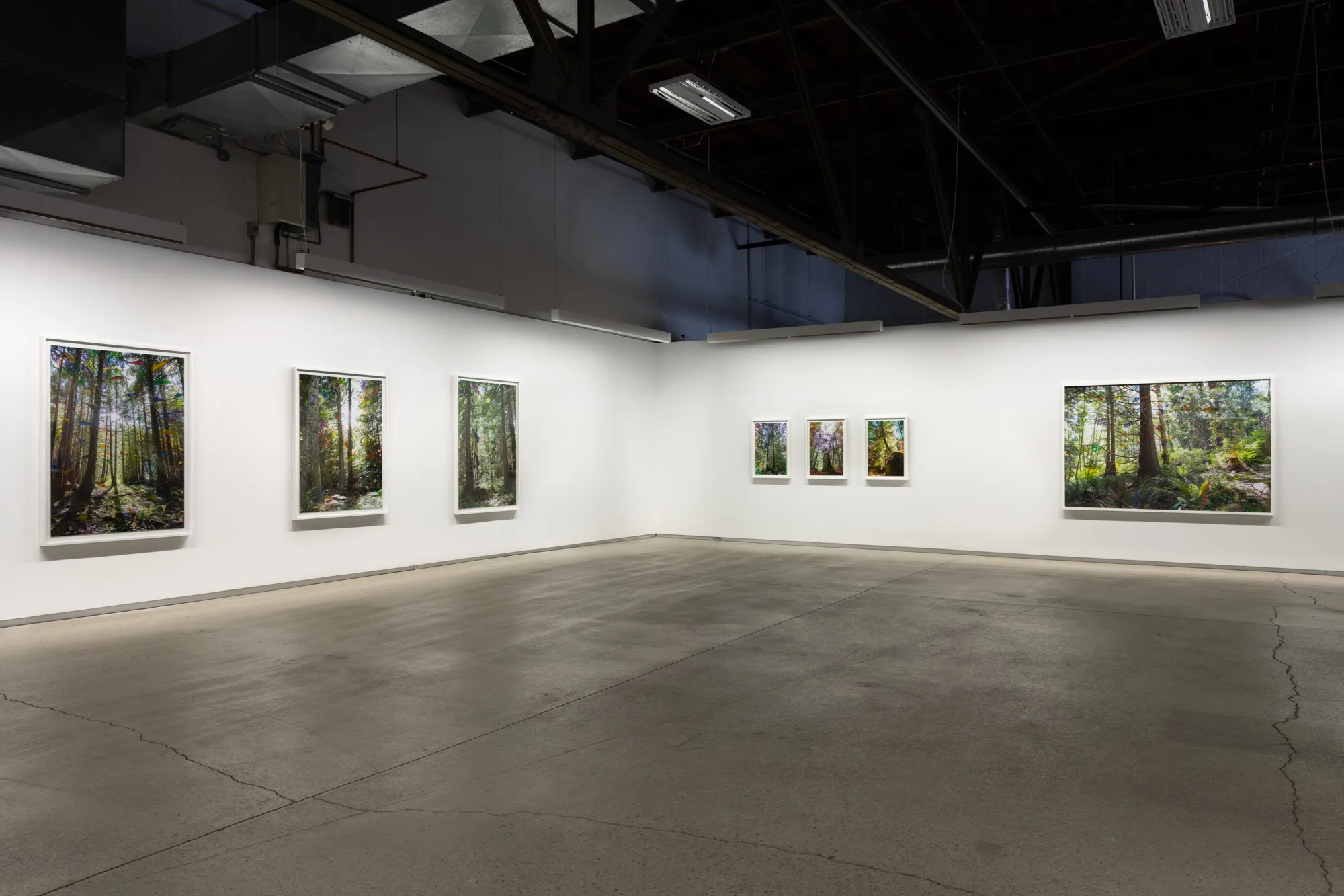 2026 | Sarah-Anne Johnson | MONTRÉAL