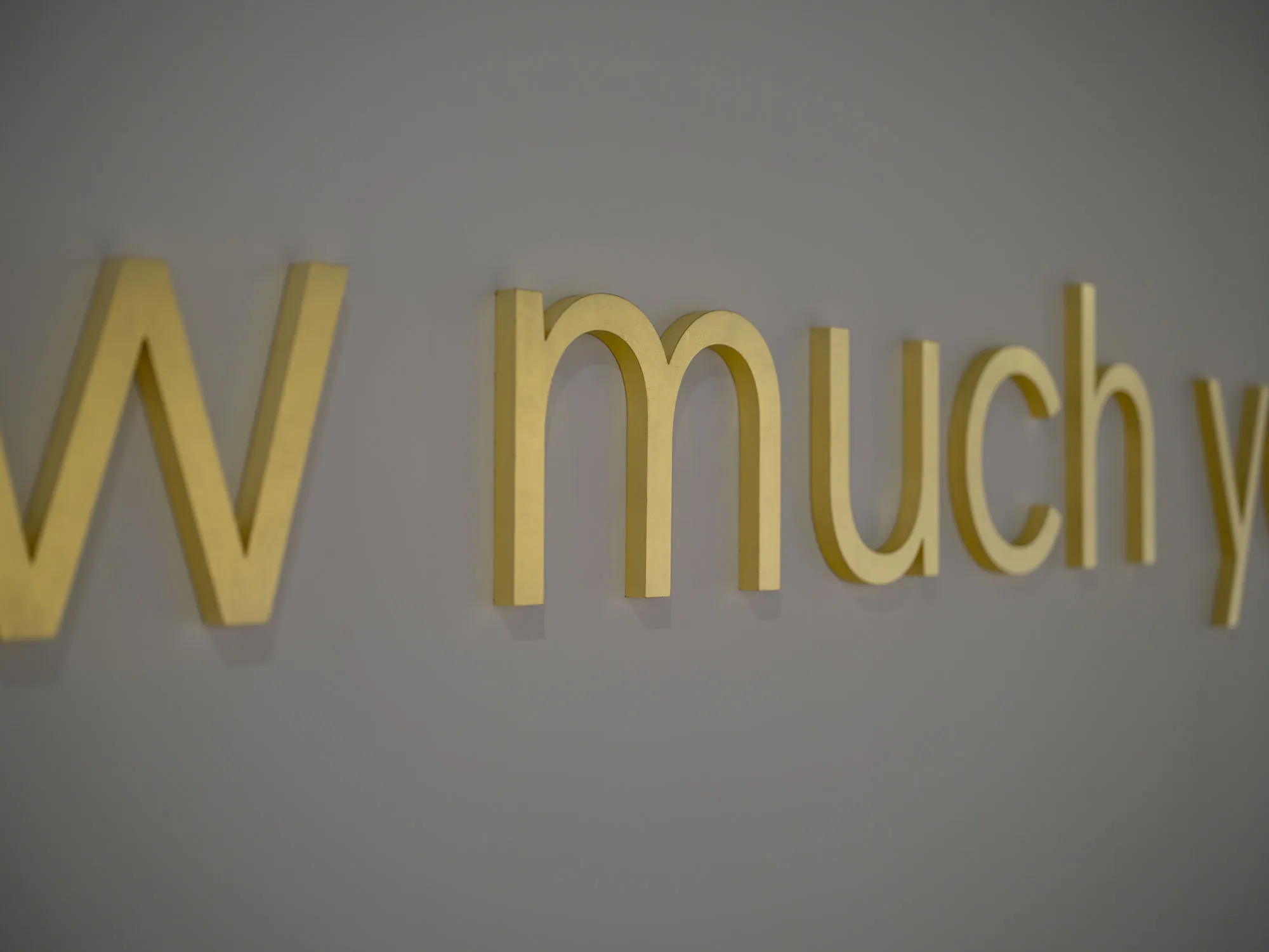 Geneviève Cadieux, Wild is the wind, 2025, vue d'installation. © Darren Rigo