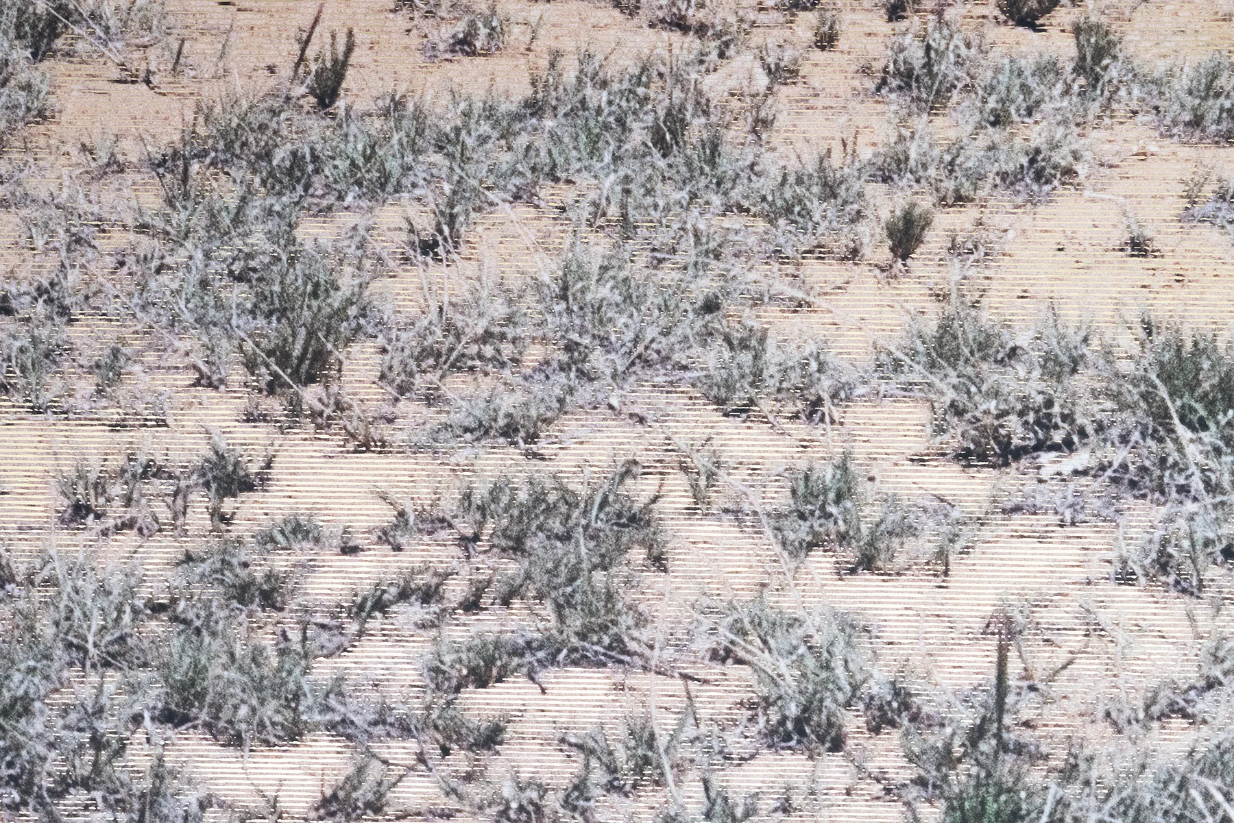 2022 | Geneviève Cadieux | TORONTO