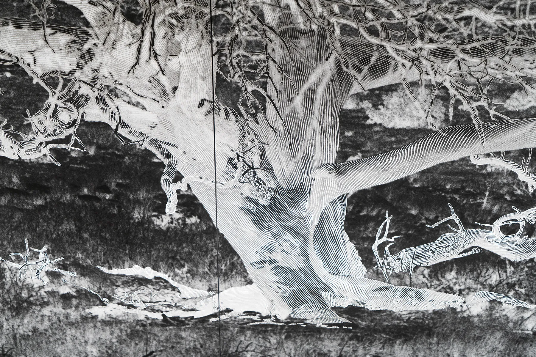 2022 | Geneviève Cadieux | TORONTO