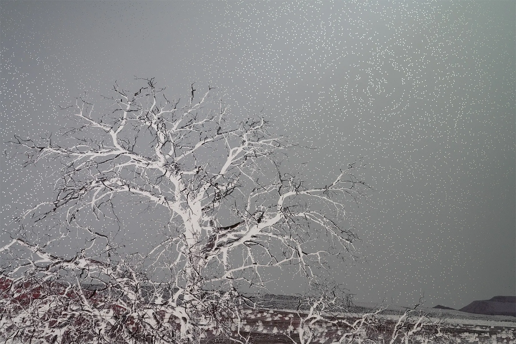 2022 | Geneviève Cadieux | TORONTO