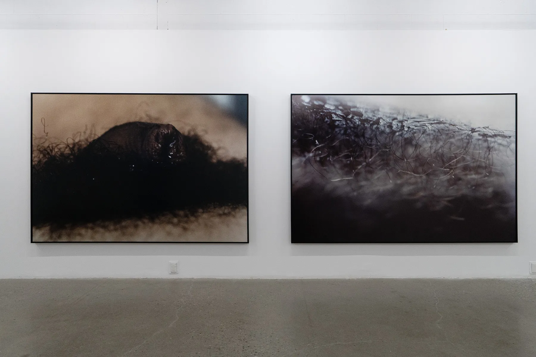 2022 | Geneviève Cadieux | TORONTO