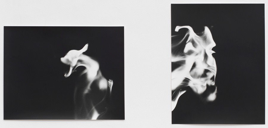 Jochen Lempert Flames (Japan), 2017 Silver gelatine print in 2 parts 31.4 x 40 cm & 40.4 x 31.4 cm
