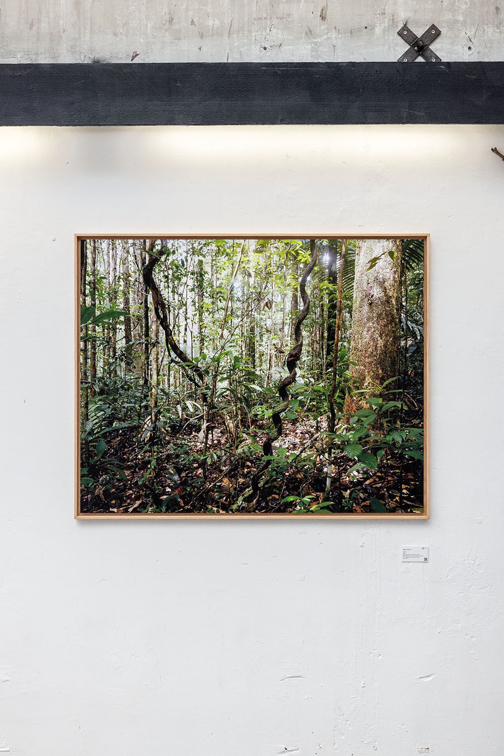 Constellations Fertiles