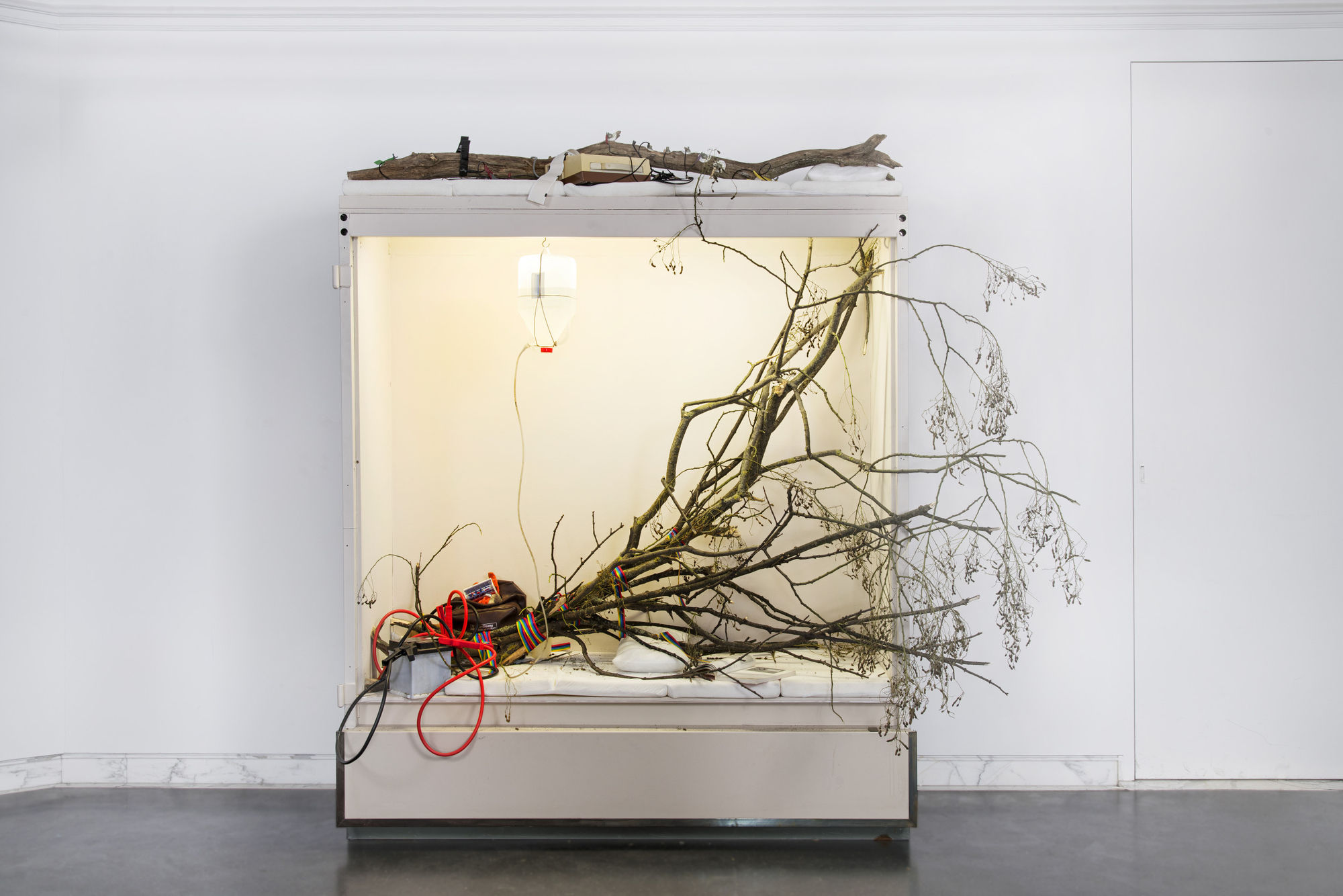 Böhler & Orendt — The Wild, the Furless and the Spirit of the B . U . D