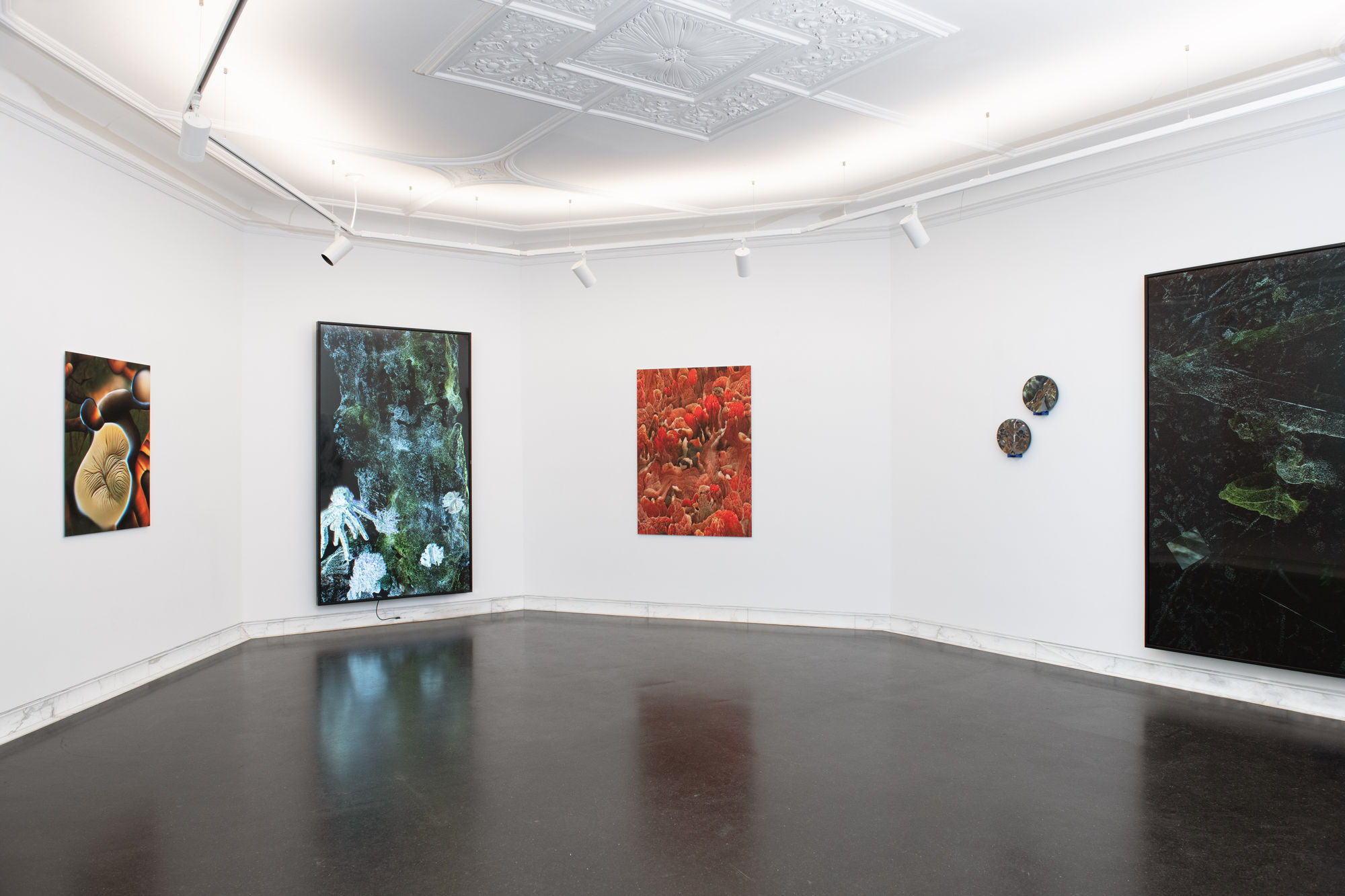 Wonhae Hwang, Sunjeong Hwang – Skin and Nerve