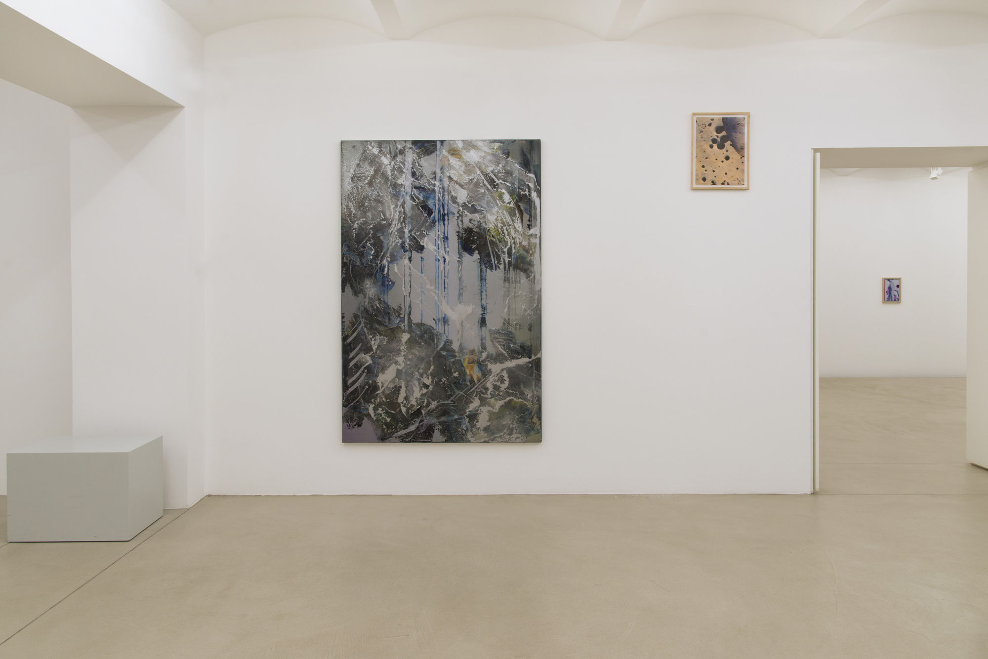 Hubert Scheibl & David Meshki — Paintings, Photographs