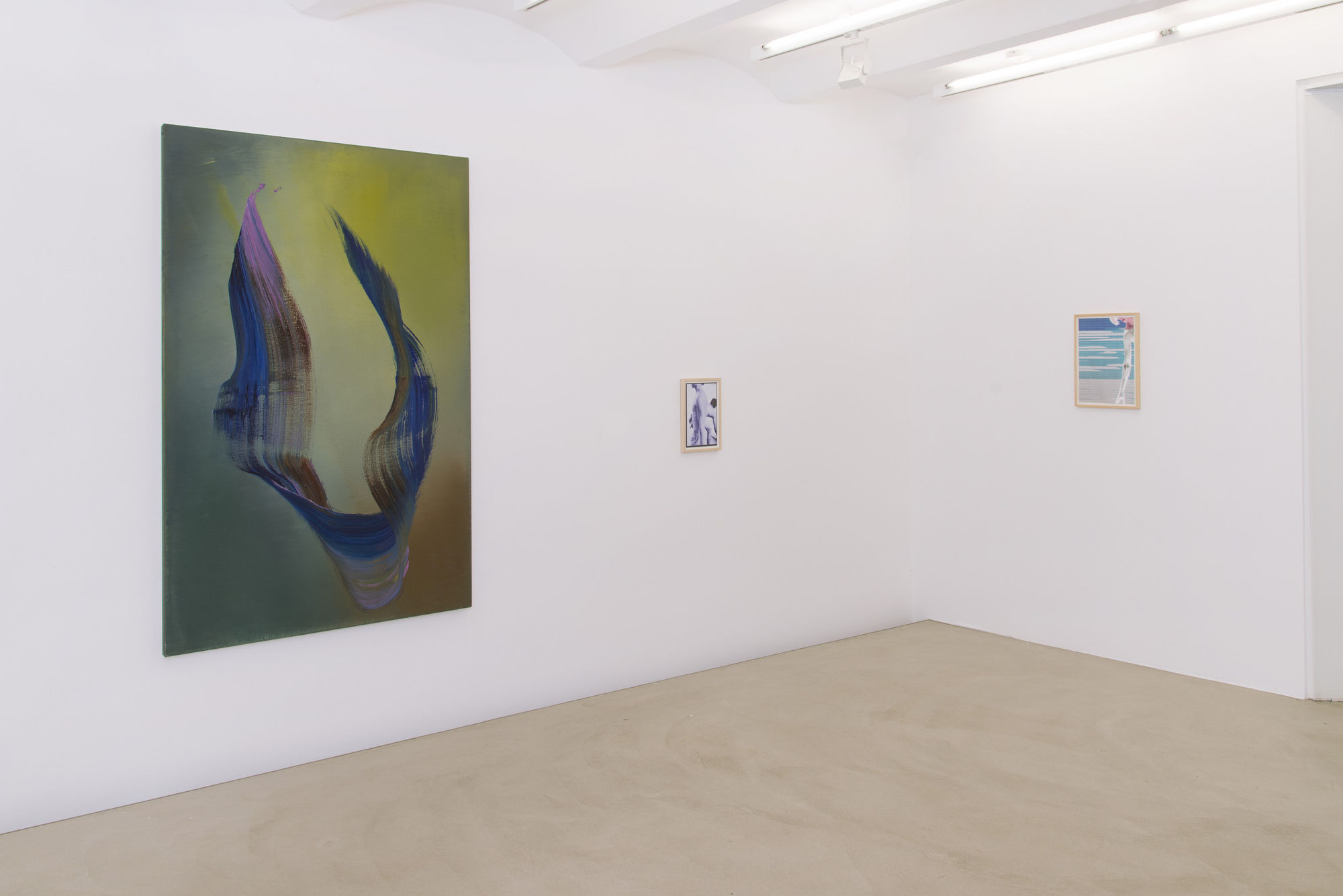 Hubert Scheibl & David Meshki — Paintings, Photographs