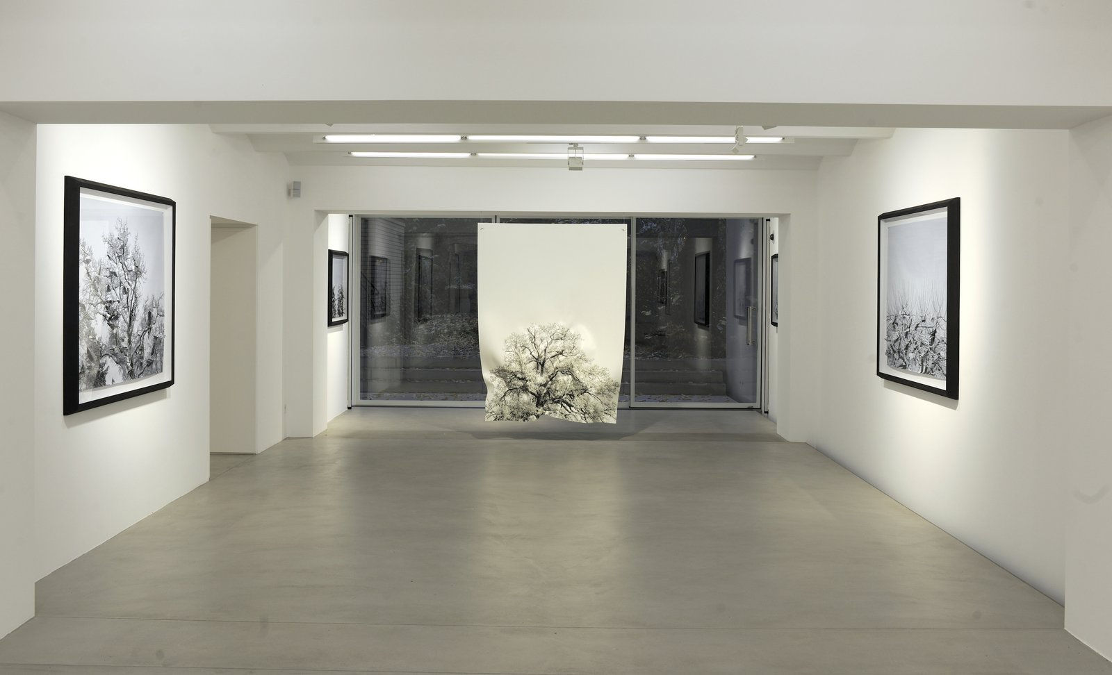 Hubertus Hamm — Untitled