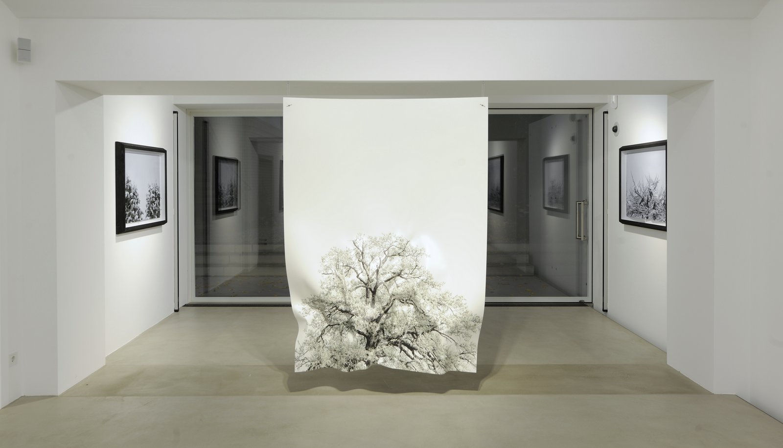 Hubertus Hamm — Untitled