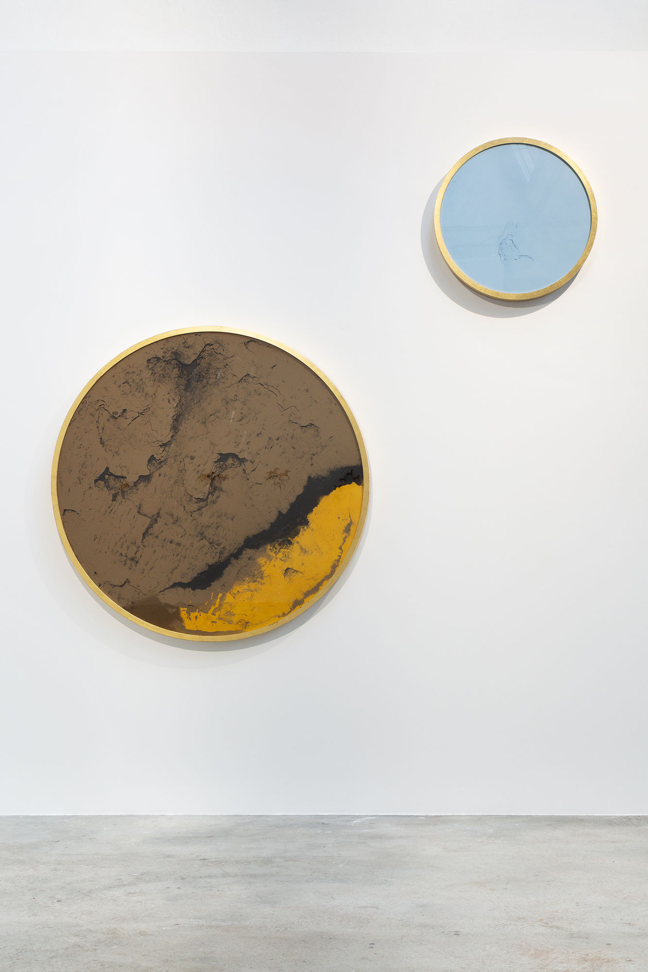 E talmente anima, che non è anima