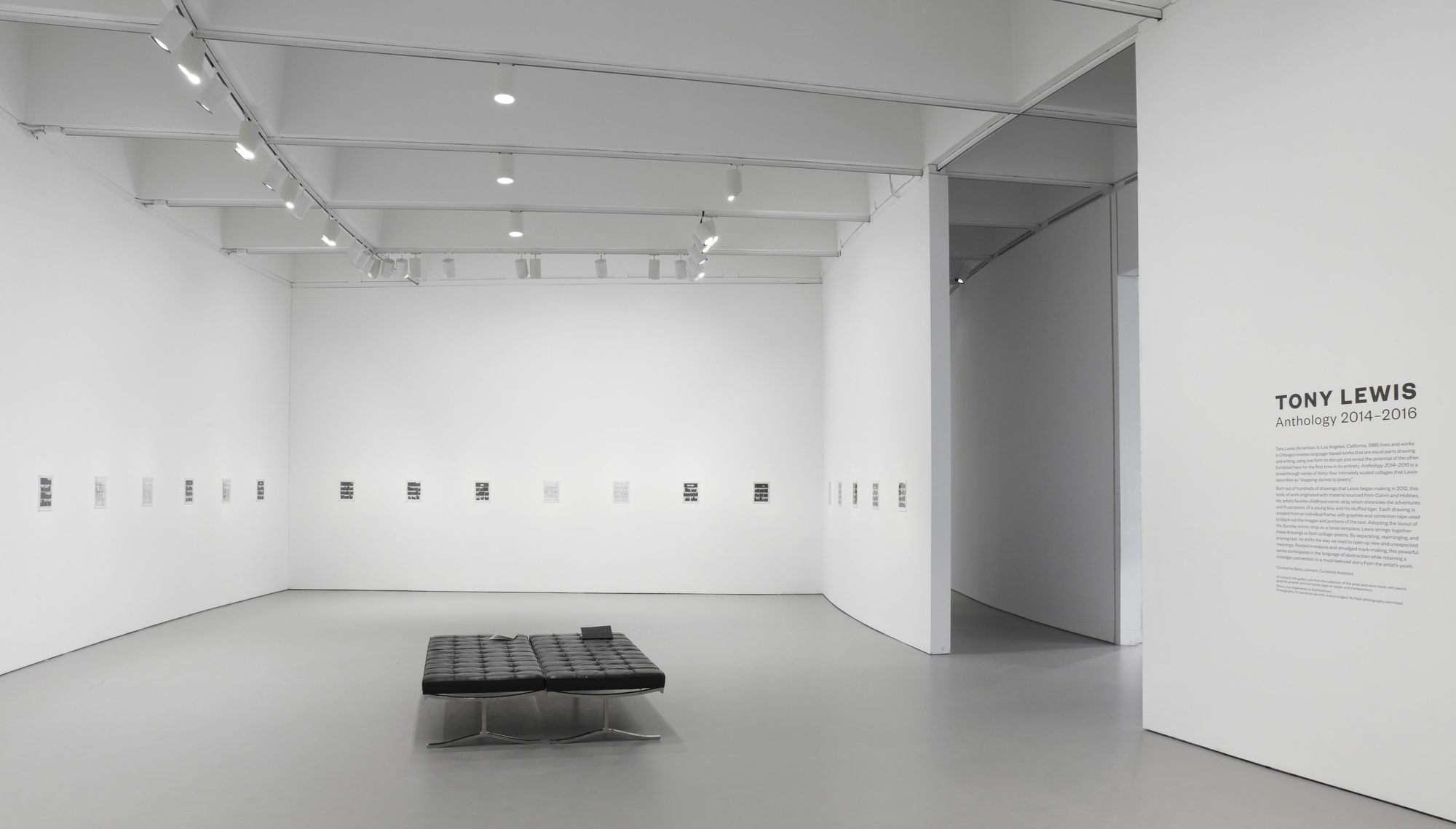 Installation view, Anthology 2014–2016, Hirshhorn Museum and Sculpture Garden, 2018.