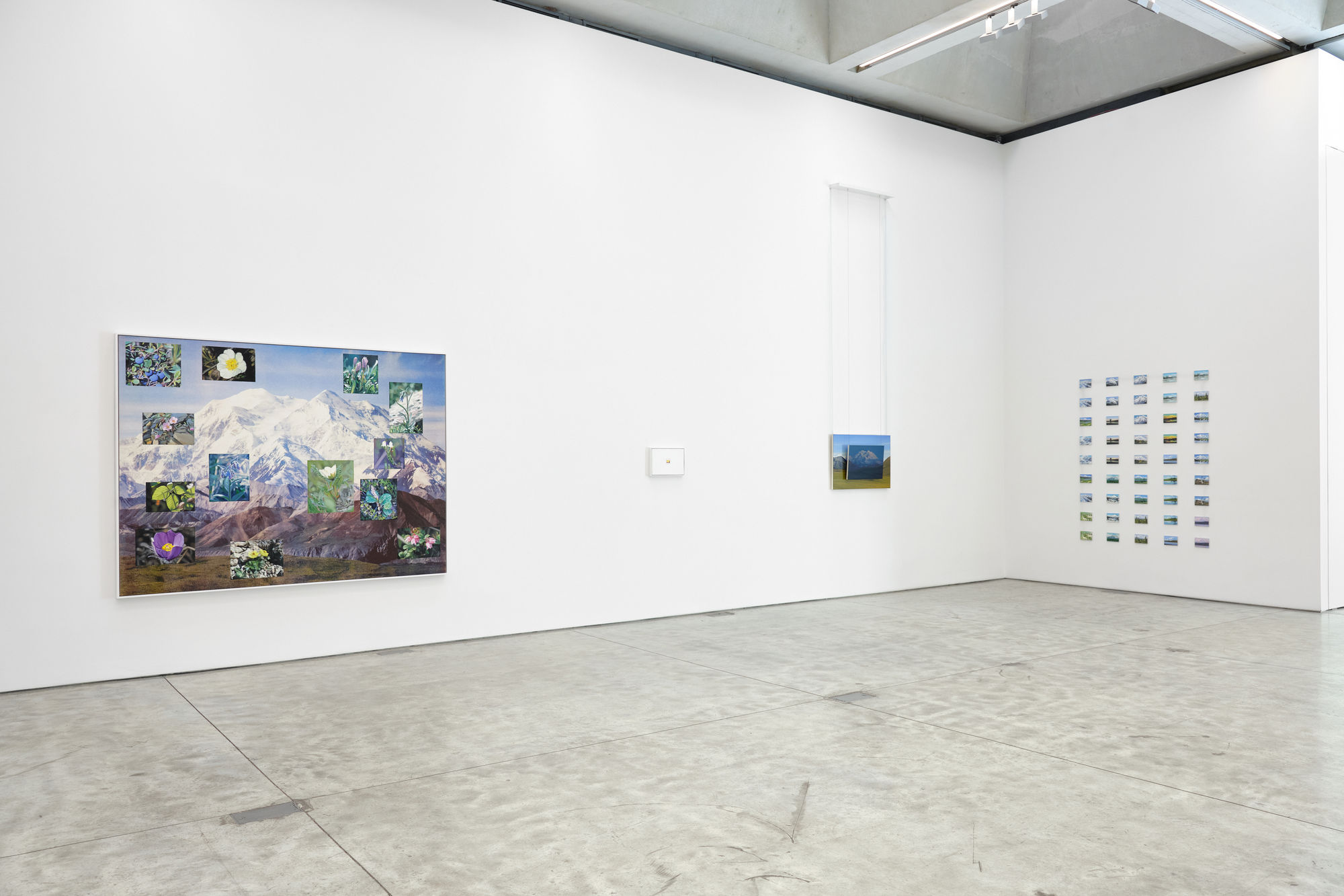 Cynthia Daignault: Denali