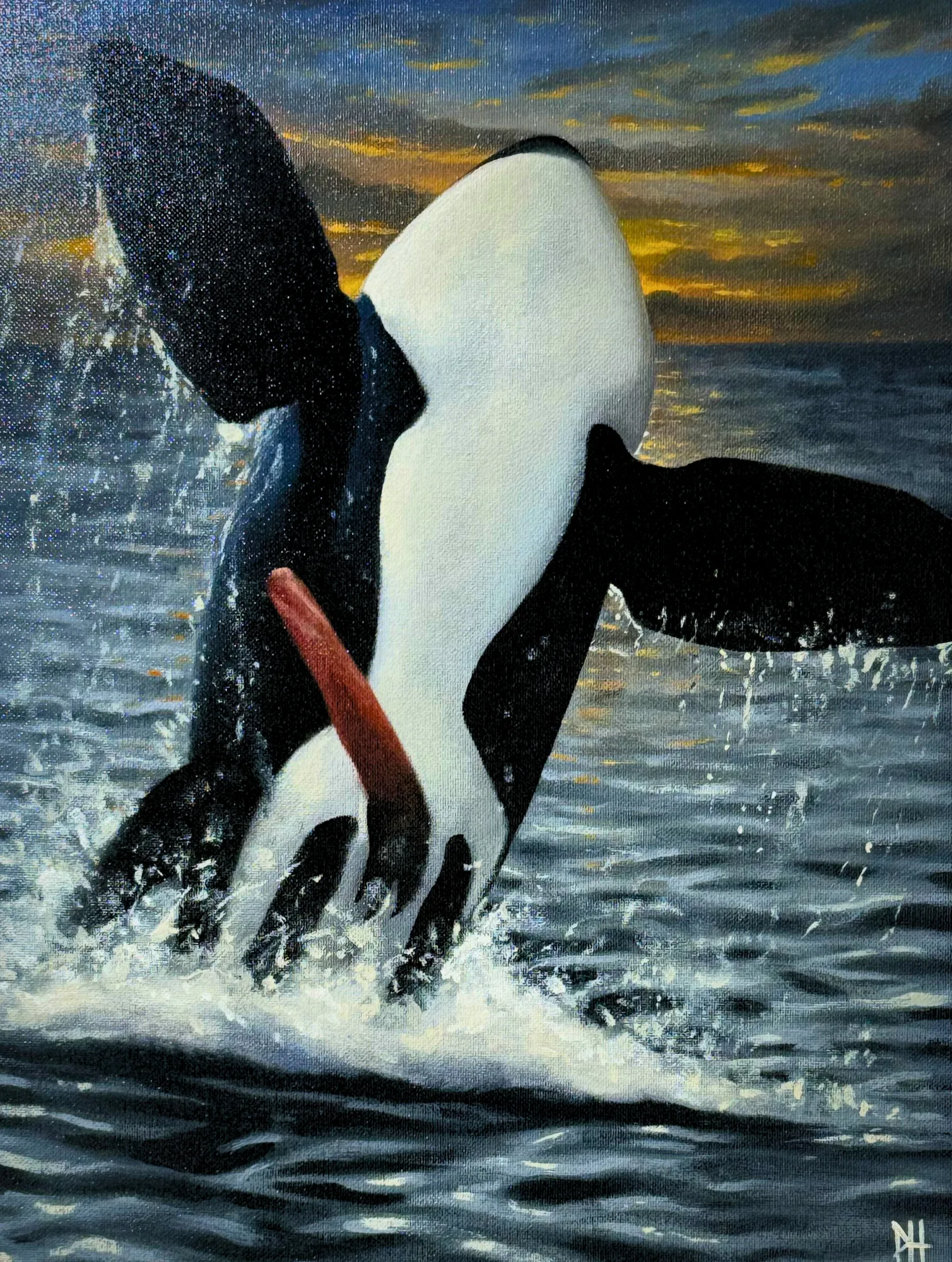 Free Willy, 2024 Patrick Henne