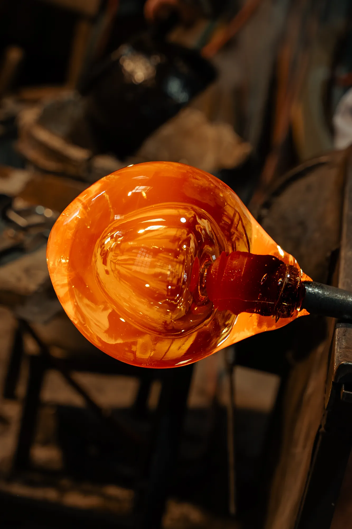 IBRAHIM MAHAMA: A SHEA GARDEN