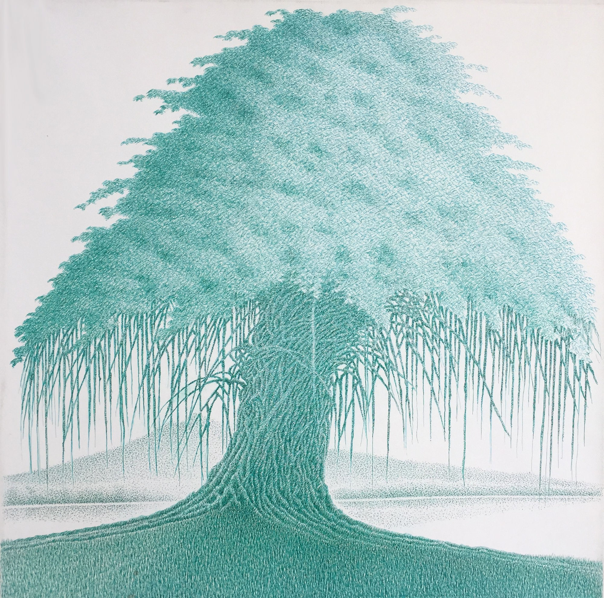 Banyan Tree V Pen and Ink on canvas 50 x 50 cm