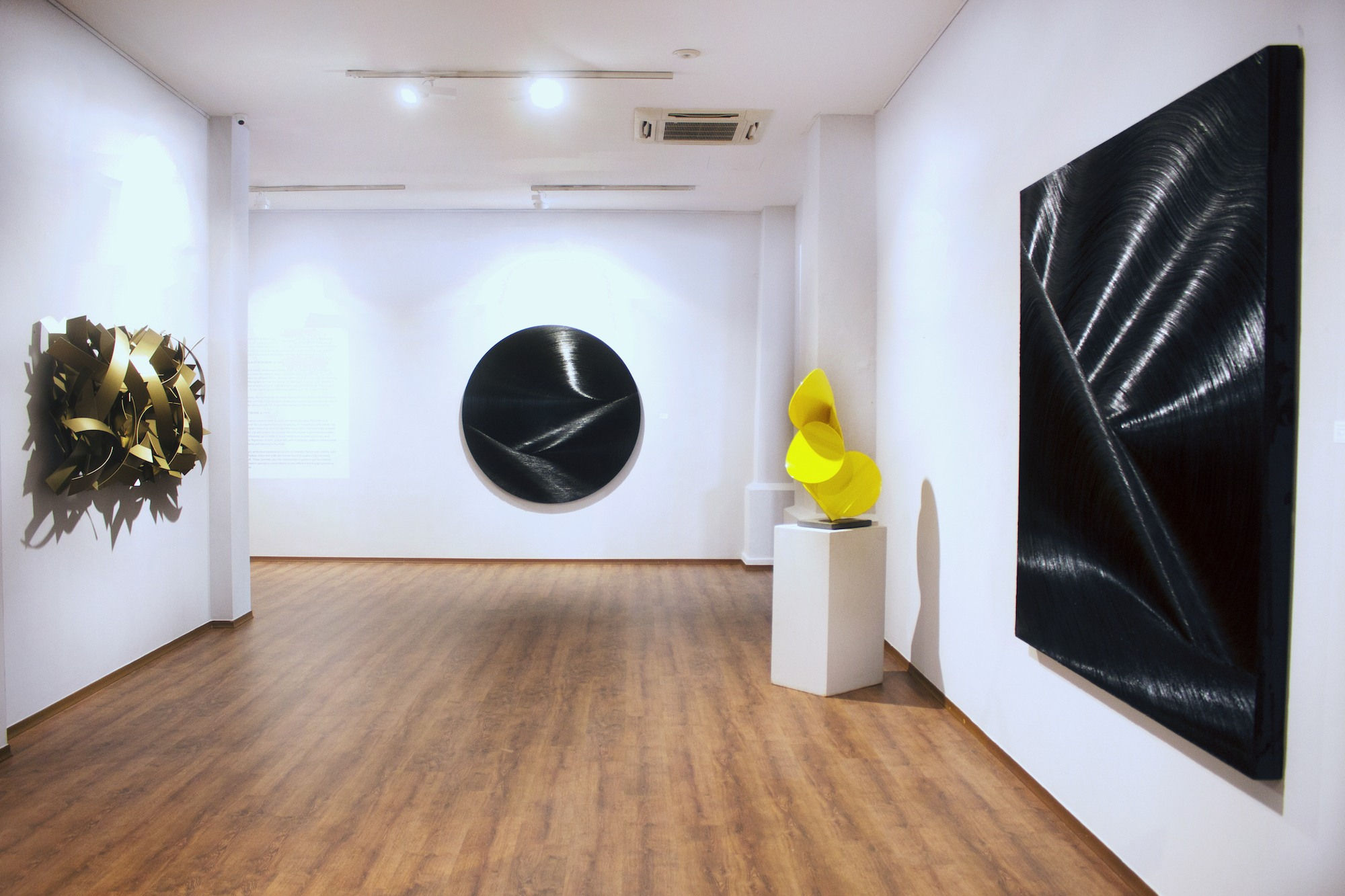 Convergent Evolution