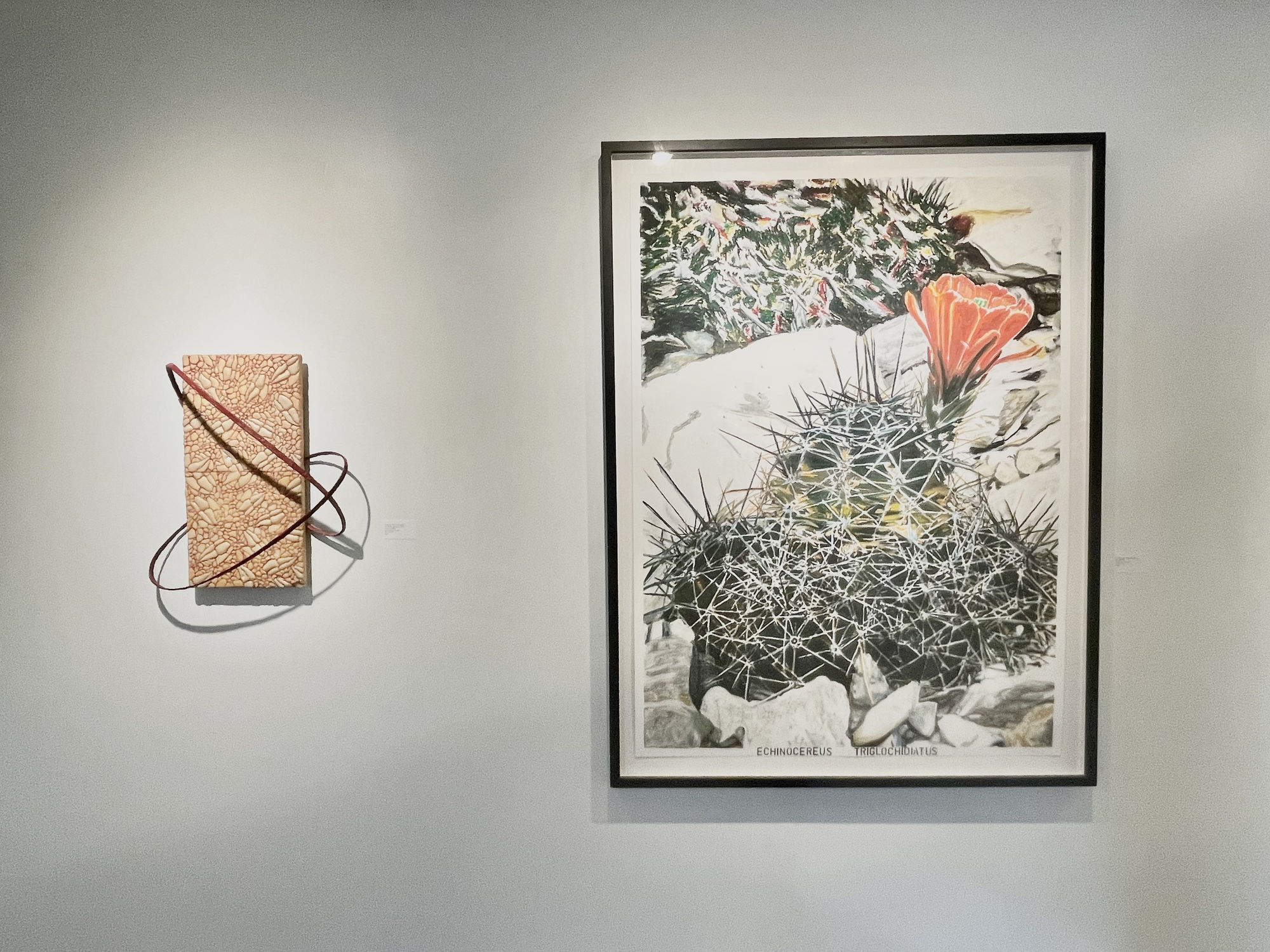 Spring Gallery Night | Group Show