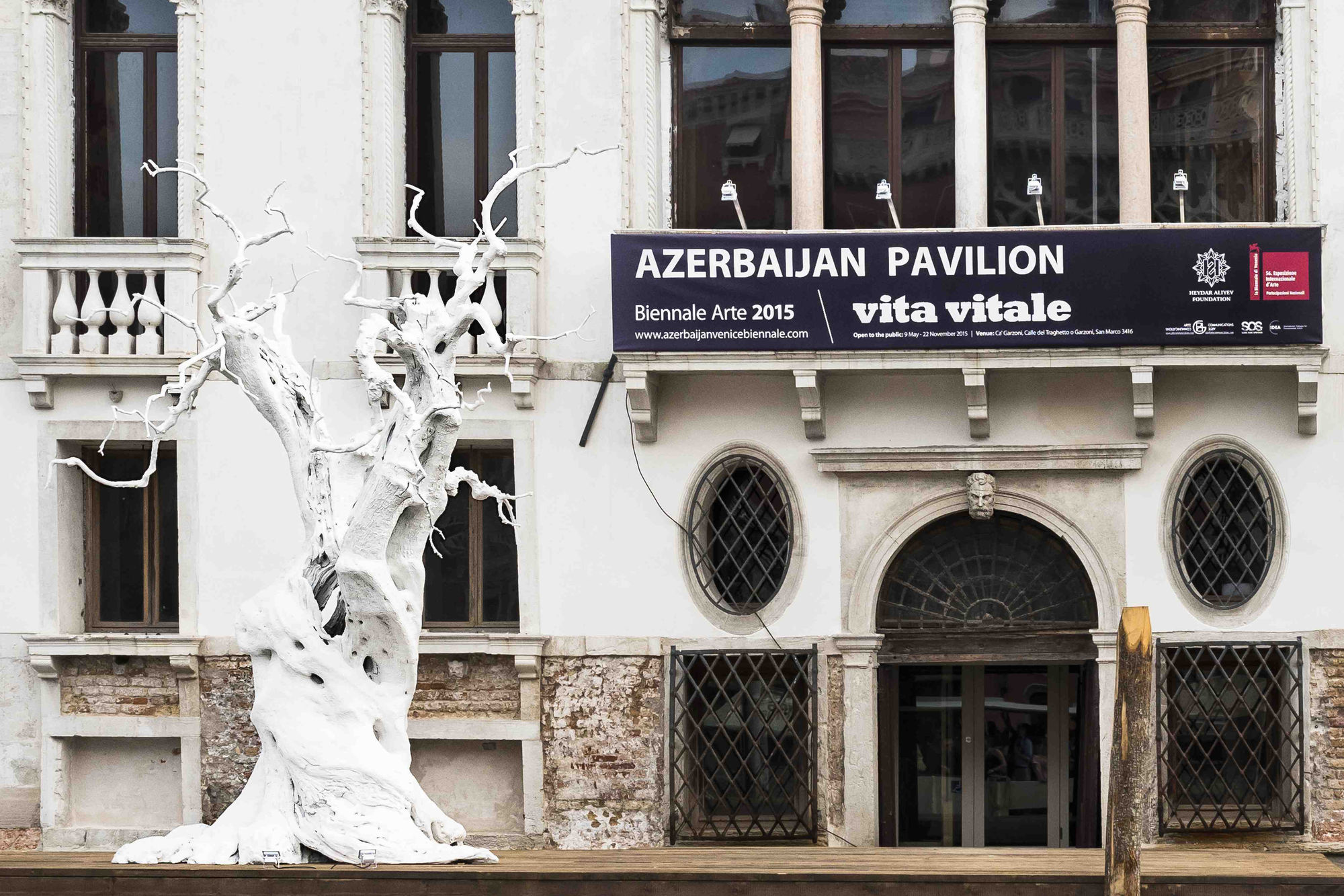 VITA VITALE (VITAL LIFE)