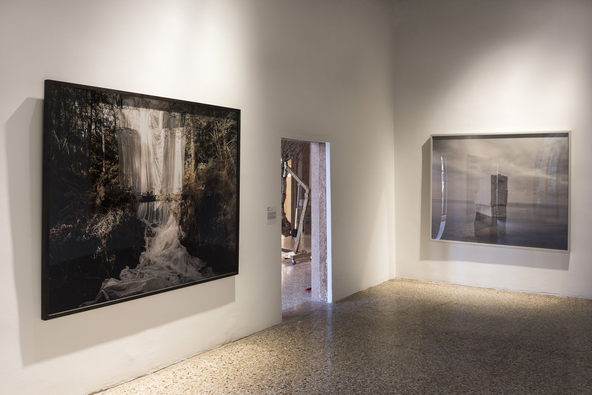 VITA VITALE (VITAL LIFE)