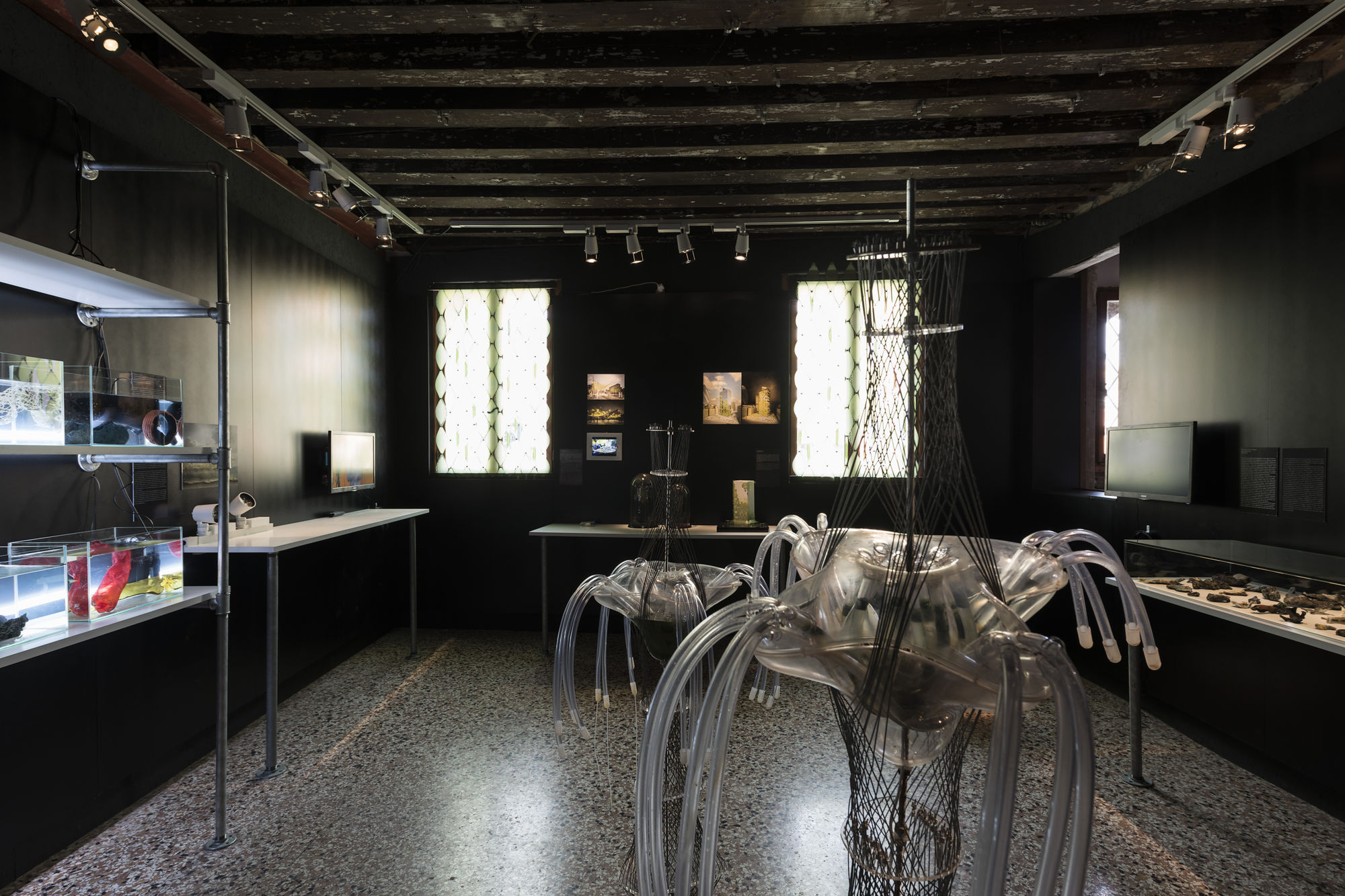 VITA VITALE (VITAL LIFE)