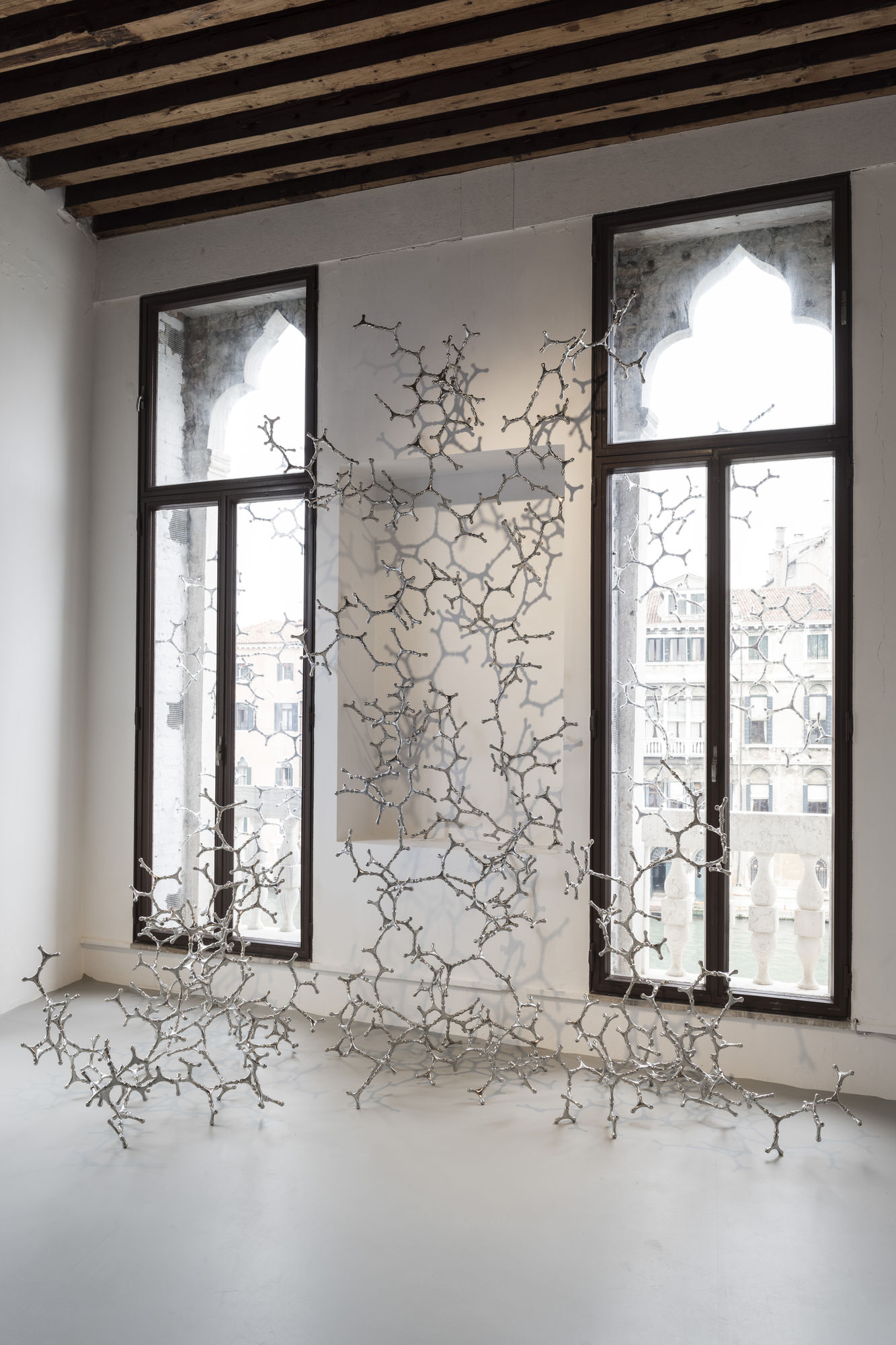 VITA VITALE (VITAL LIFE)