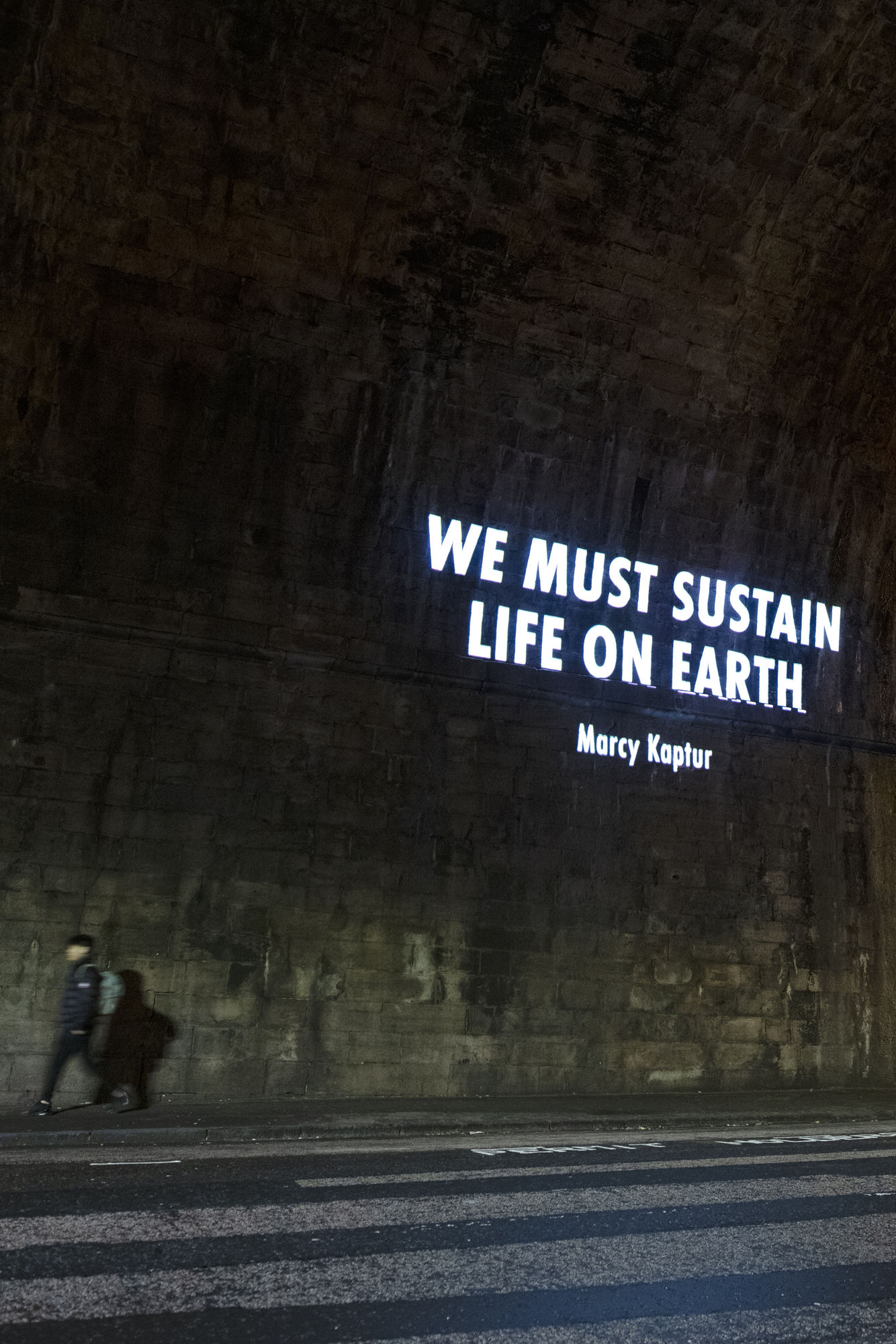 JENNY HOLZER, HURT EARTH