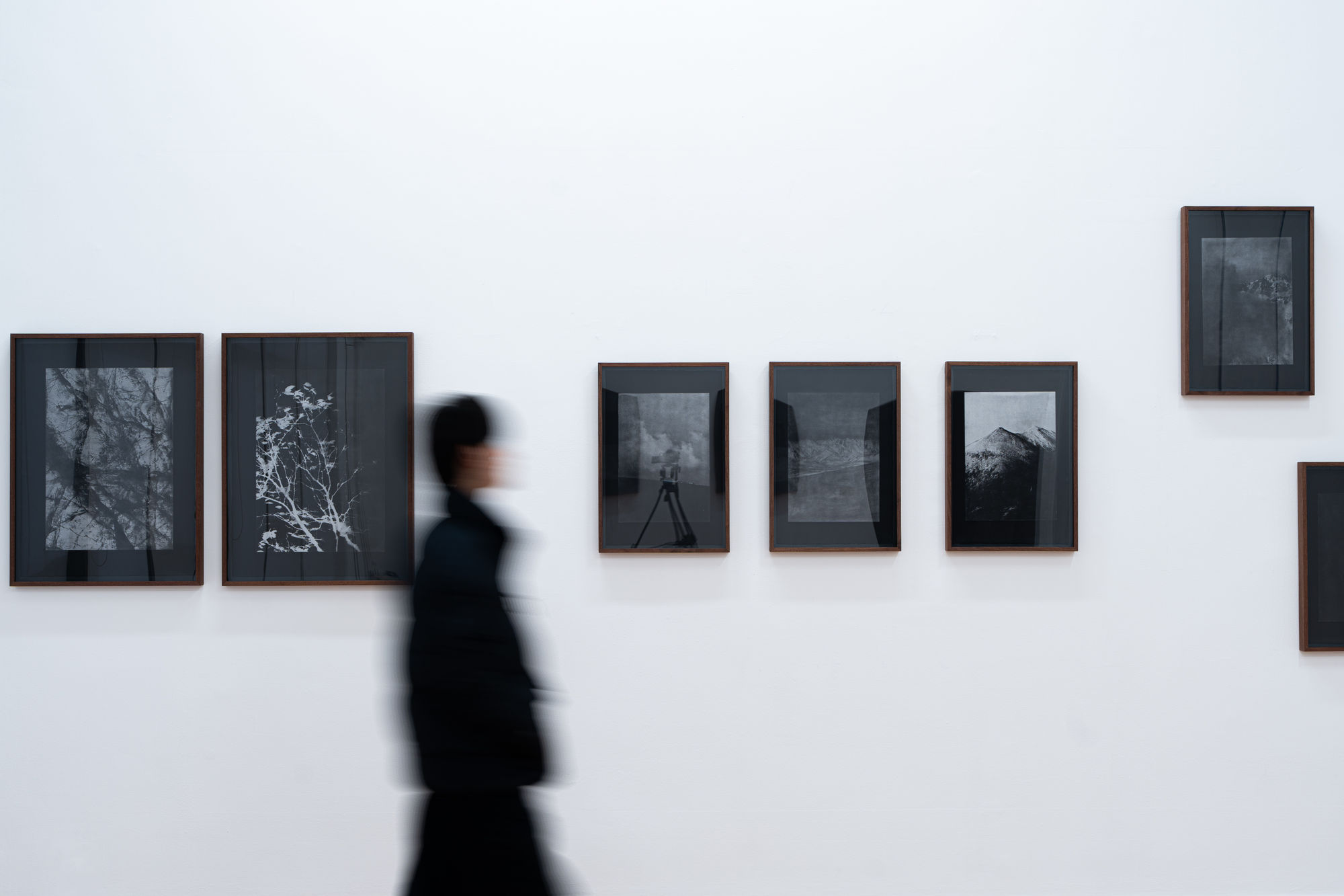 Moth/Good-bye/of all things the weight