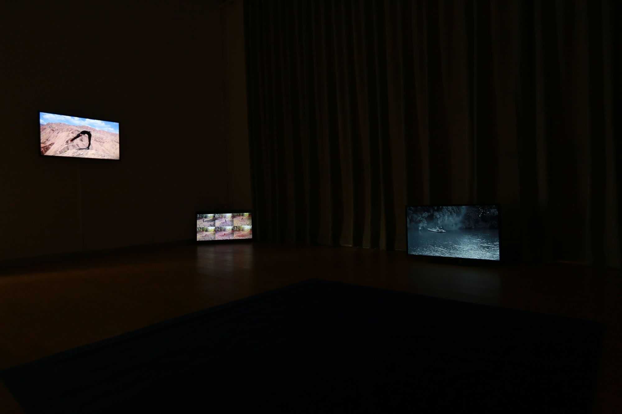 1000+ Project：Waiting for the blue