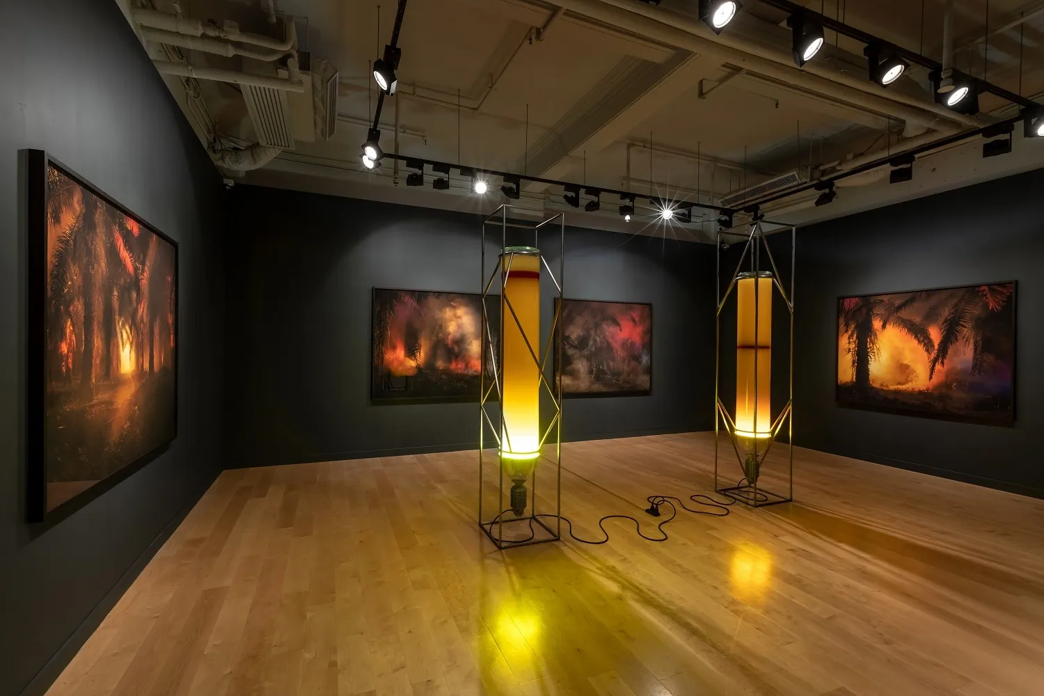 JULIAN CHARRIÈRE An Invitation to Disappear