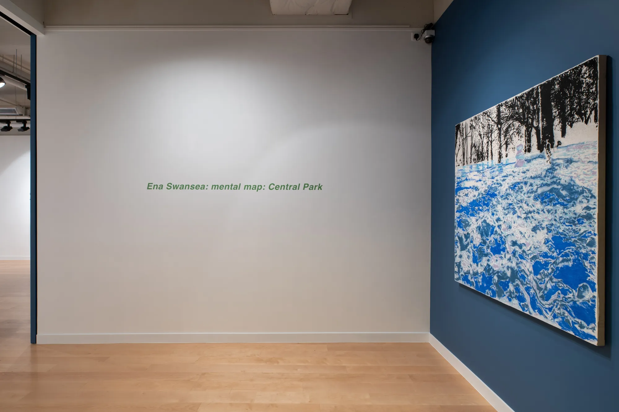 ENA SWANSEA | mental map: Central Park