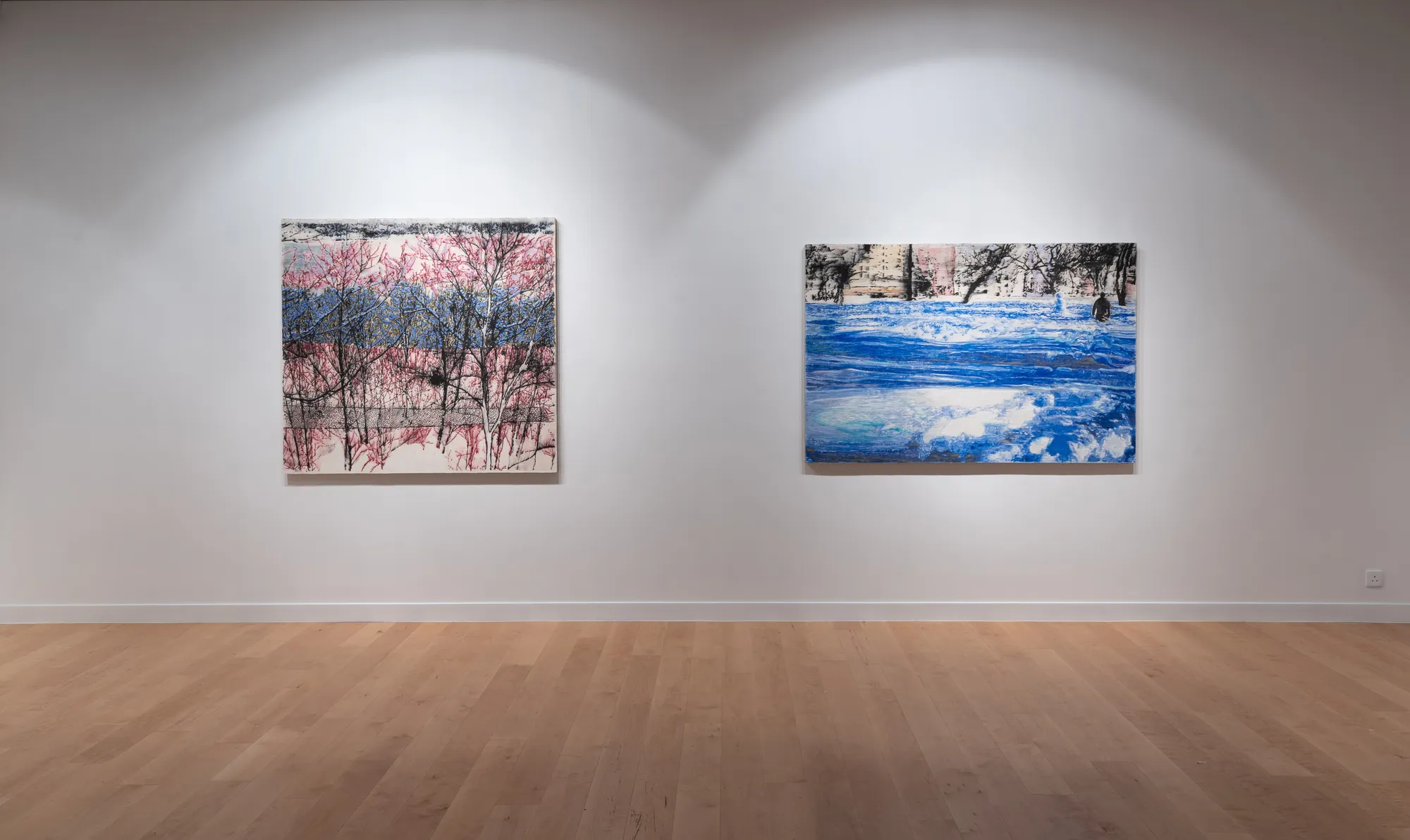 ENA SWANSEA | mental map: Central Park