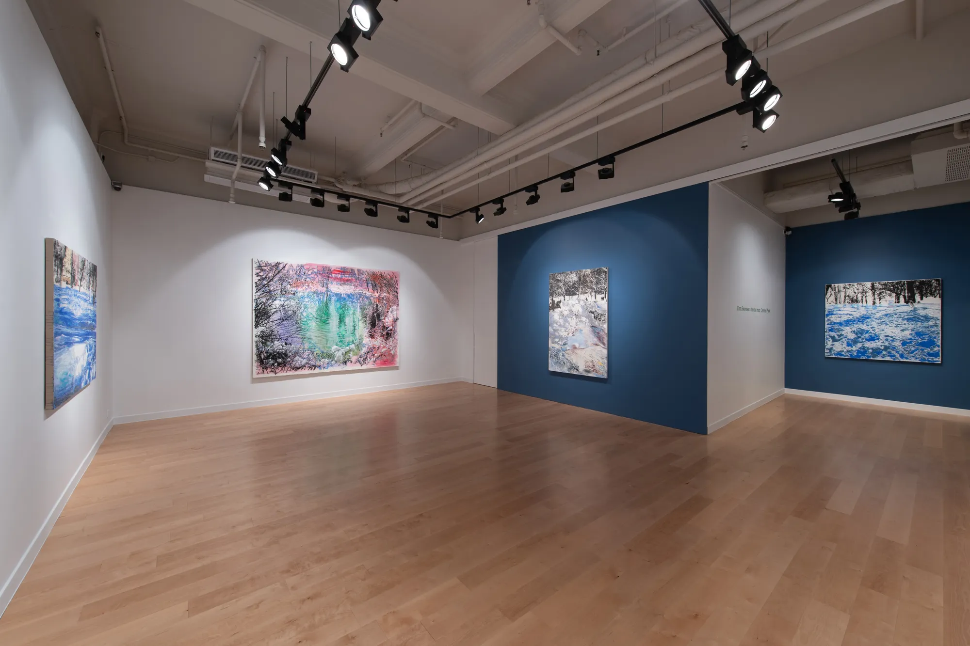 ENA SWANSEA | mental map: Central Park