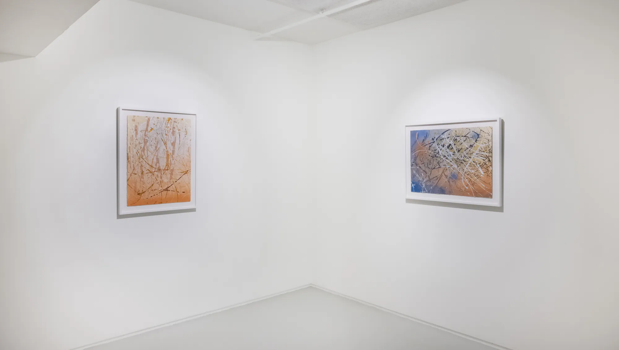 Photography by Ringo Cheung