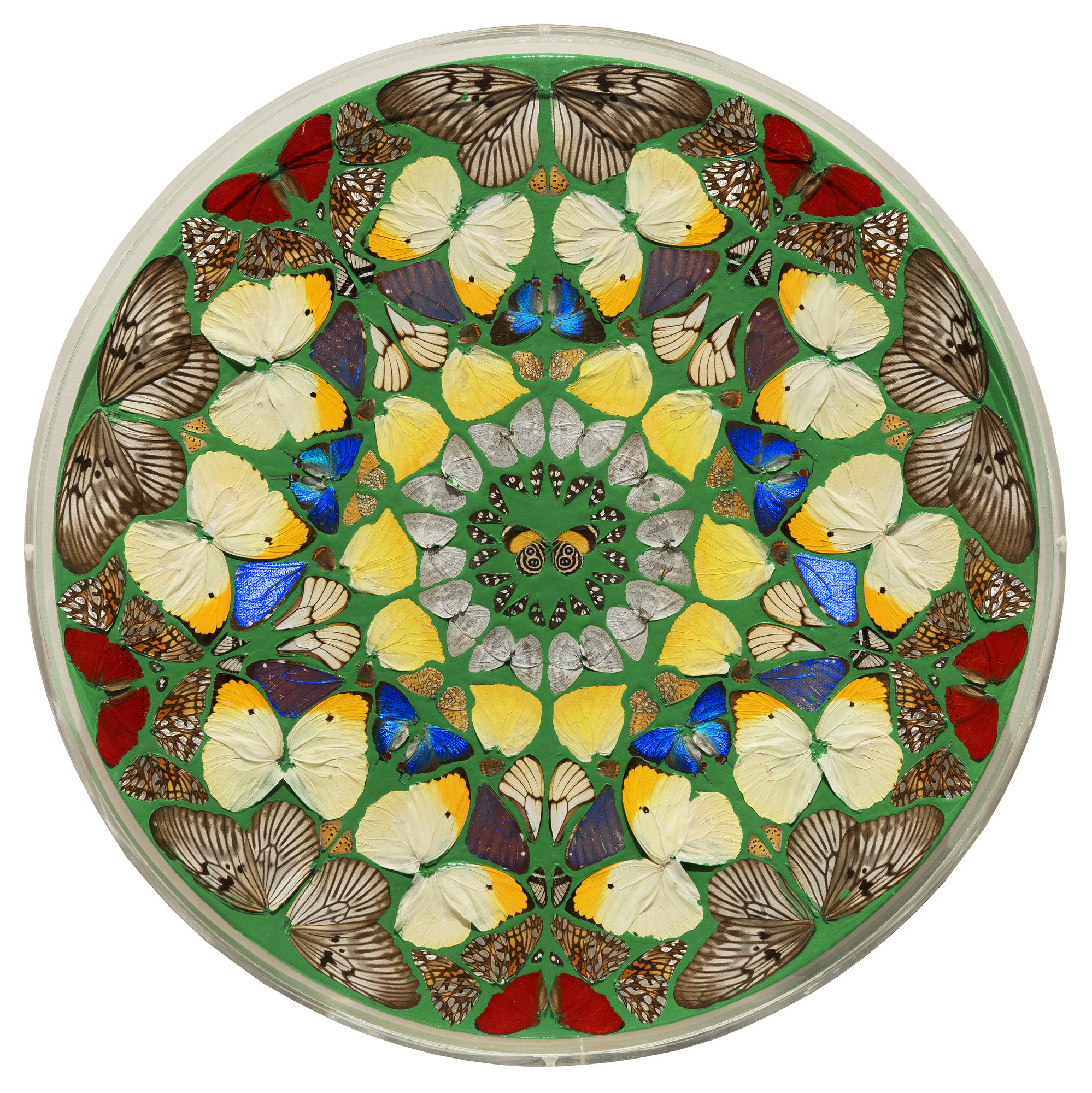 Damien Hirst Psalm 13: Usque quo, Domine?, 2008 Butterflies and household gloss on canvas 18 x 18 inches