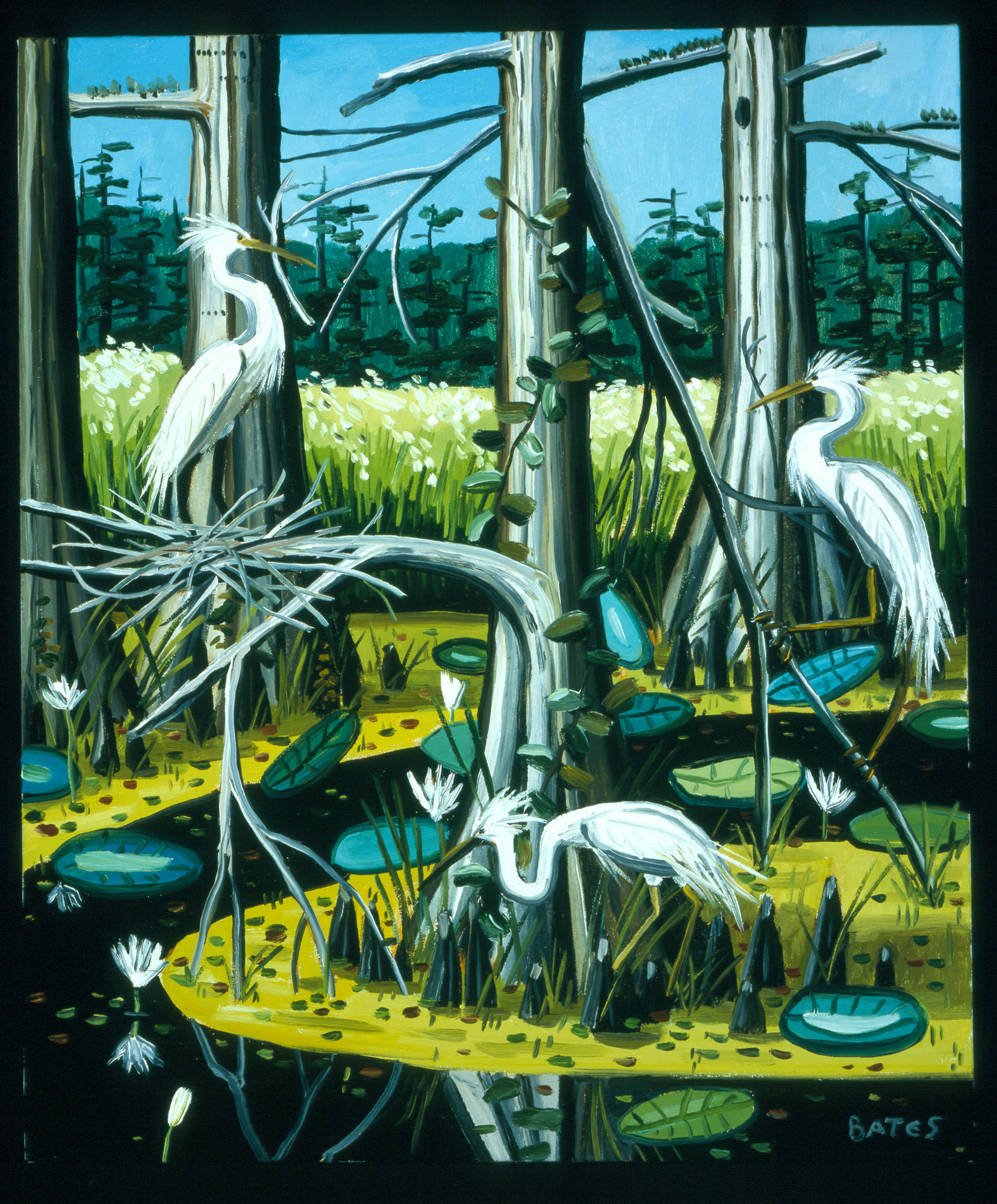 David Bates Great American Egrets II, 2005 Oil on canvas 24 x 20 inches 60.96 x 50.8 cm